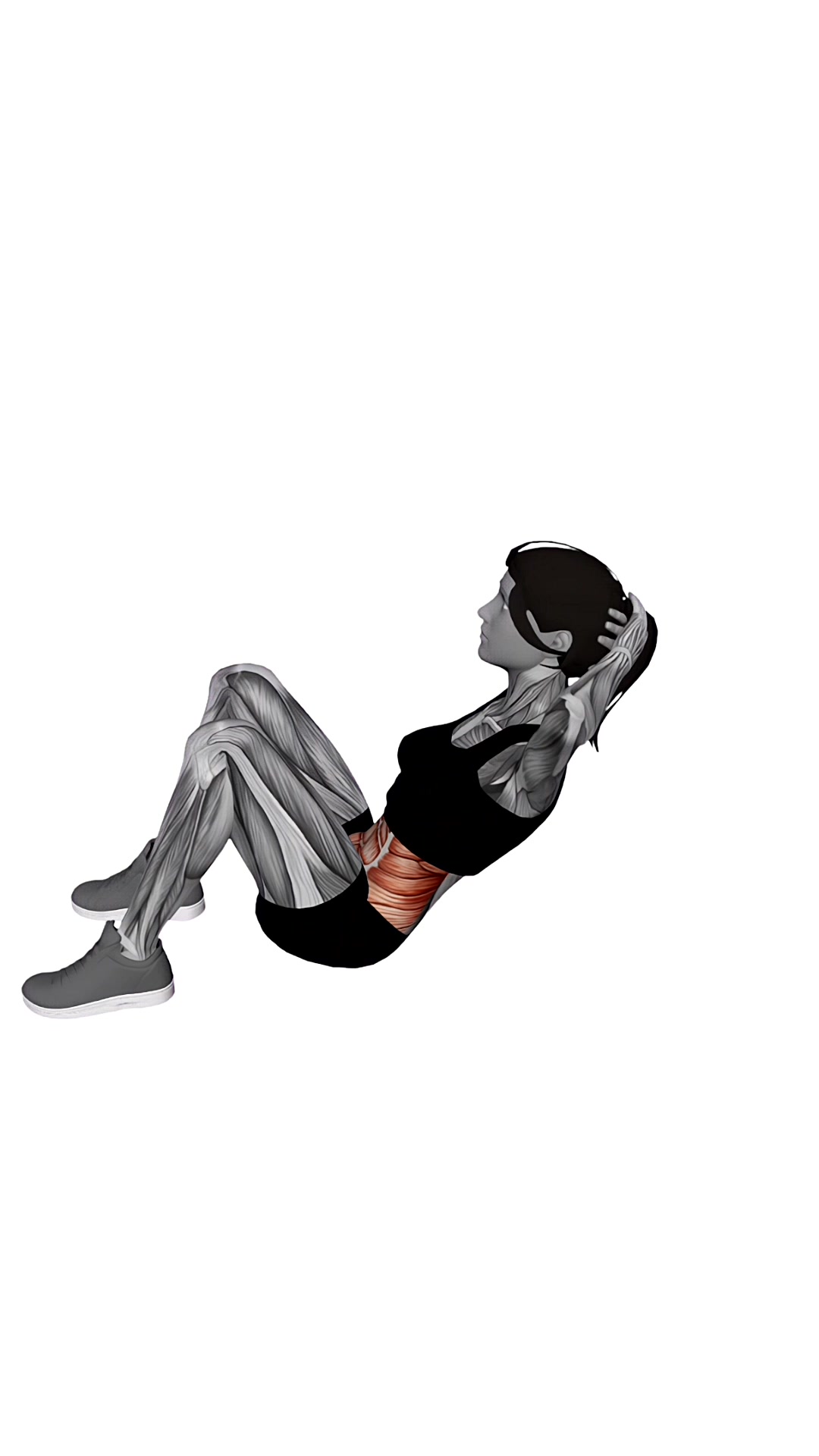 Sit-up