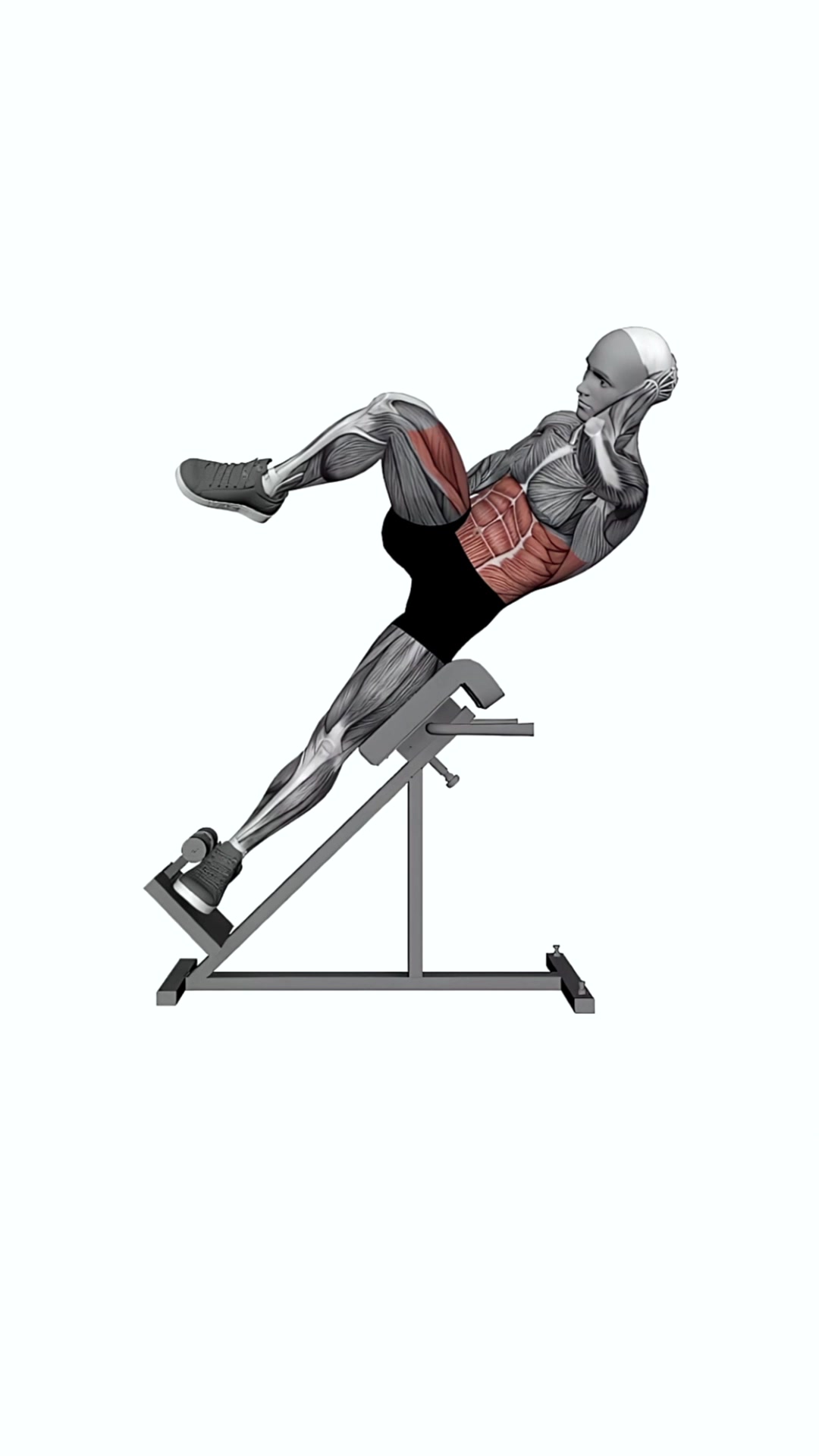 45 Degree Bicycle Twist Knee To Elbow