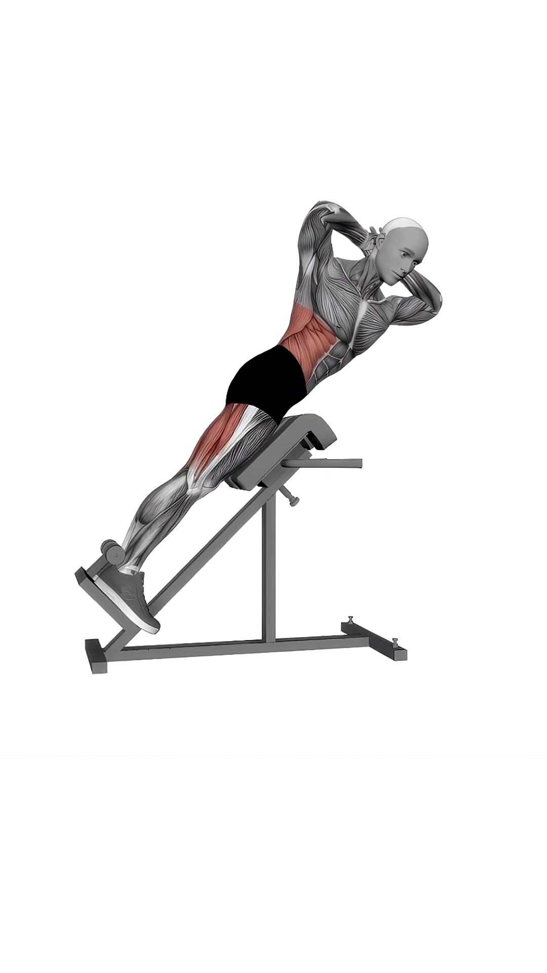 45 Degree Twisting Hyperextension