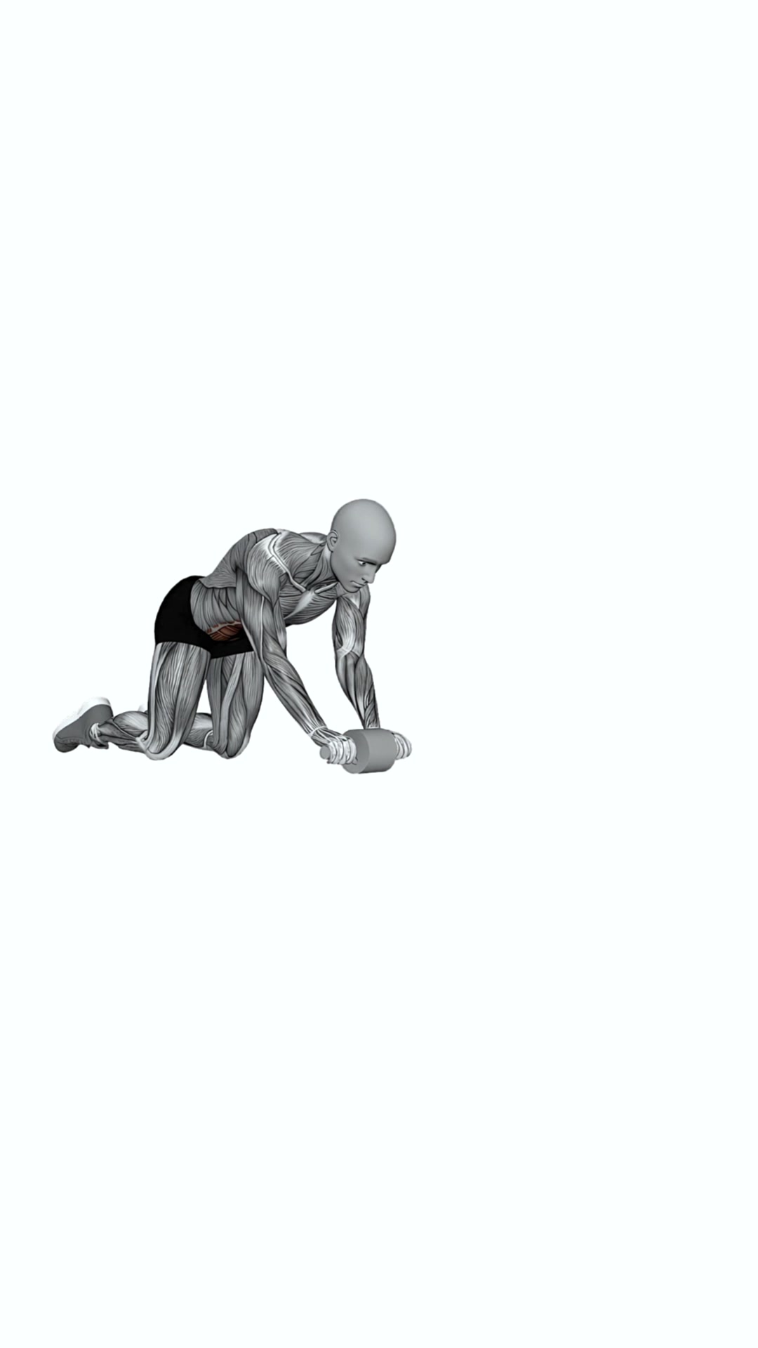 Ab Wheel All The Way Out