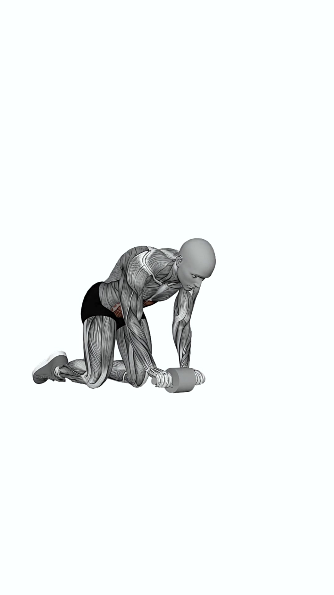Ab Wheel Halfway Out