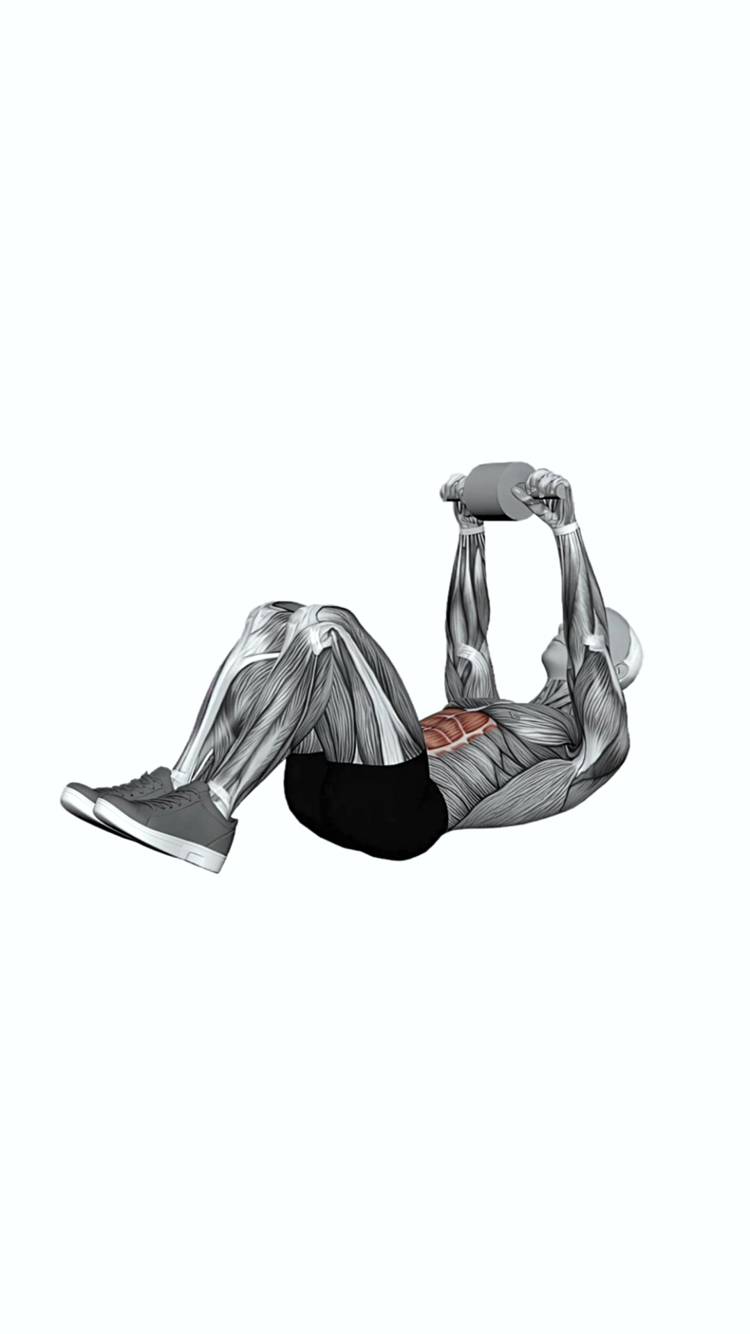Ab Wheel Pulses
