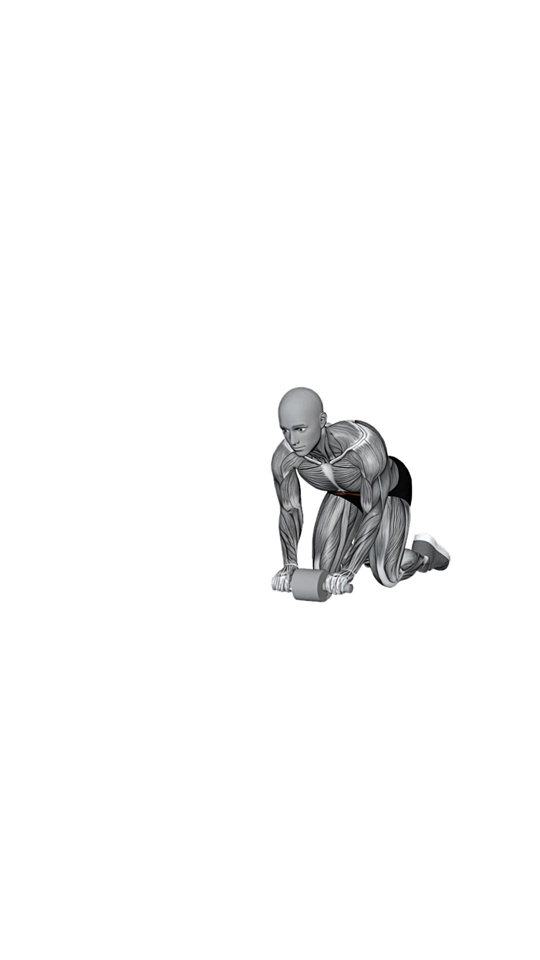 Ab Wheel Right Out