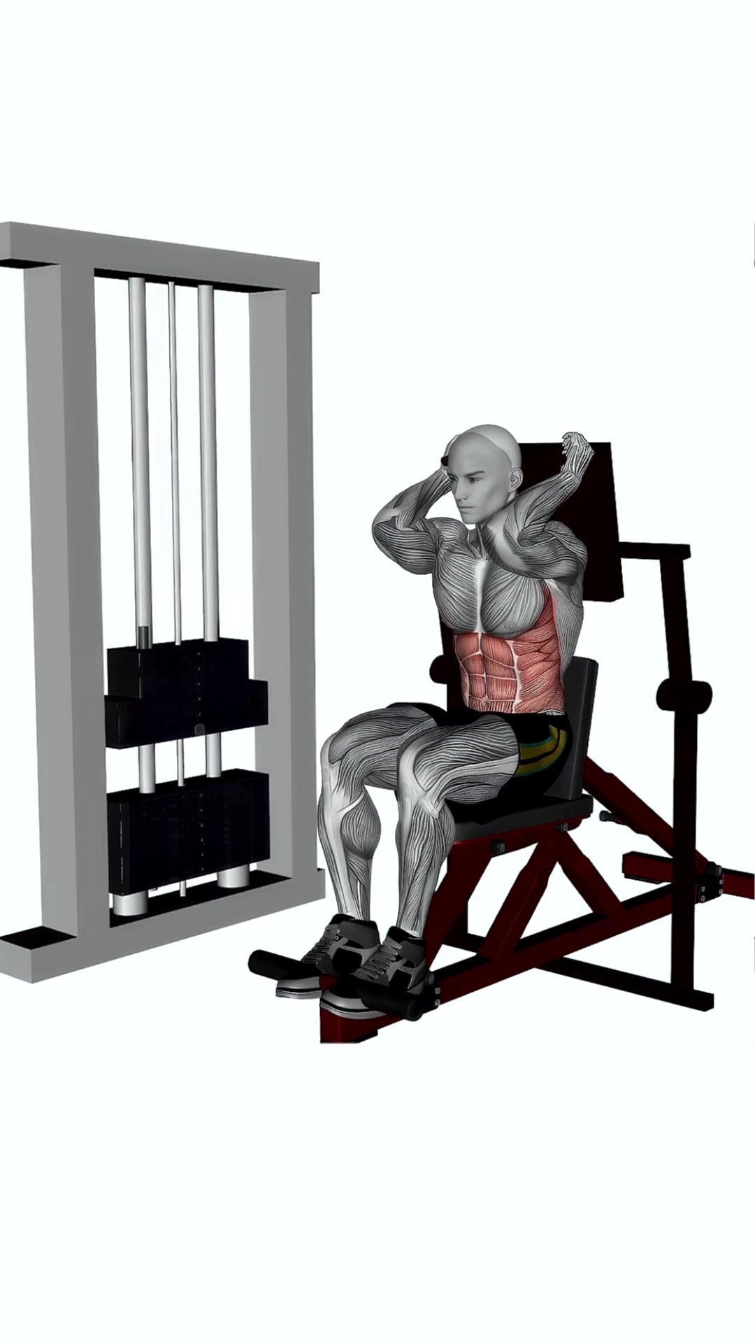 Abdominal Crunches Machine