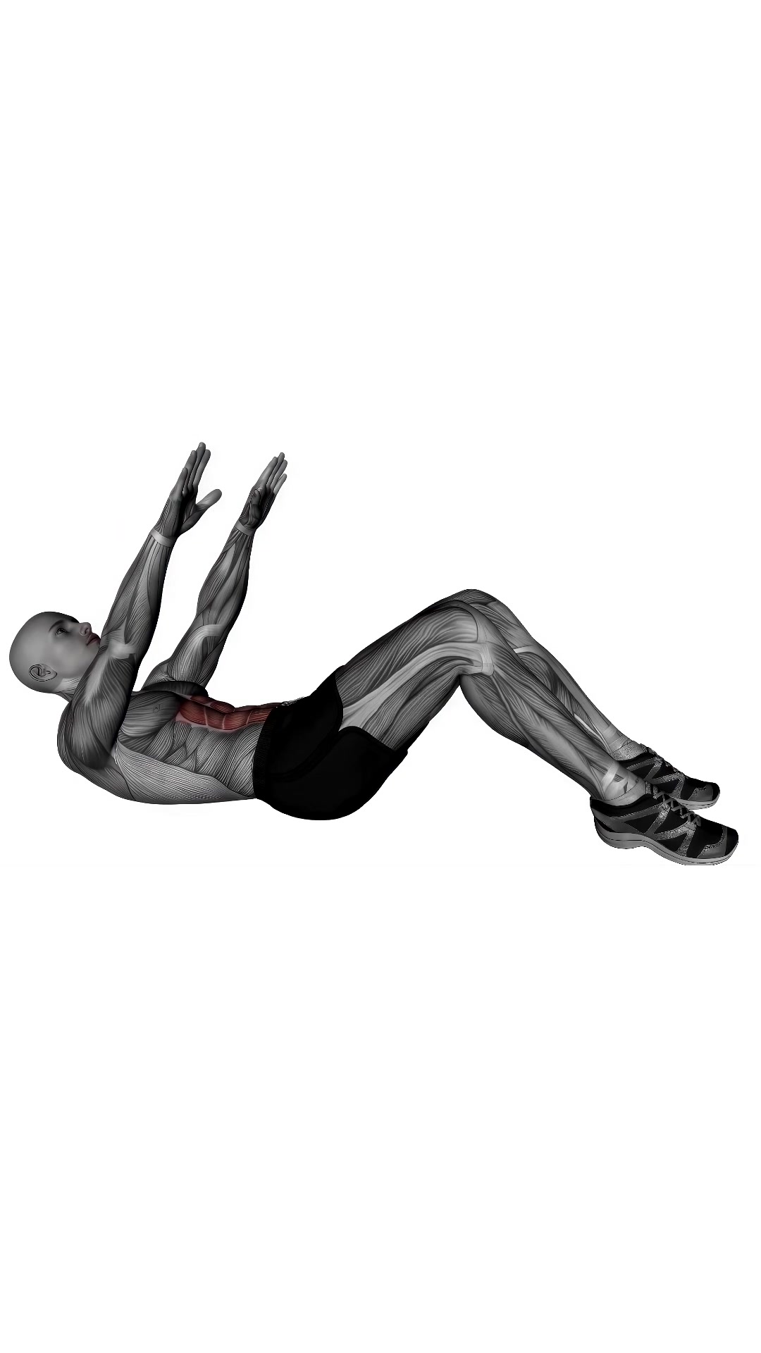 Abdominal Crunches