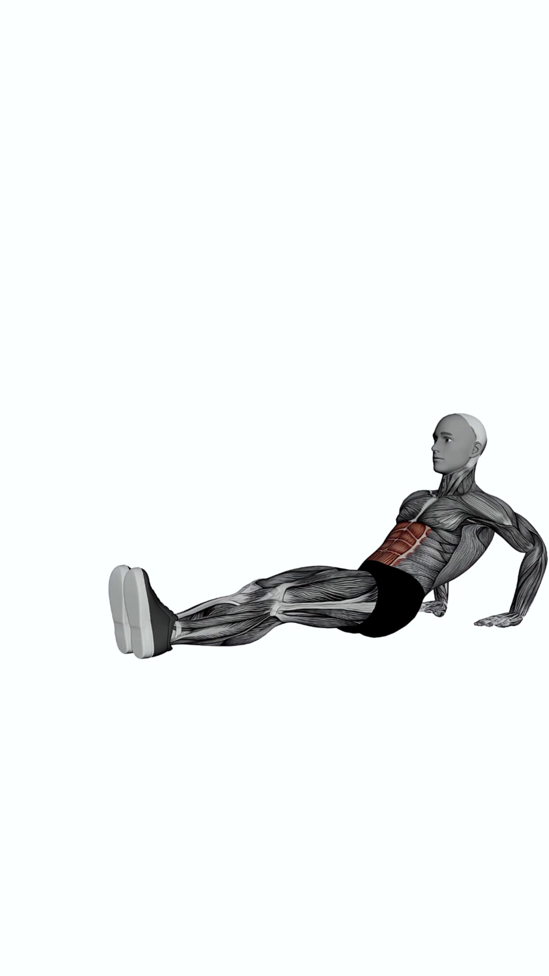 Abs Snails