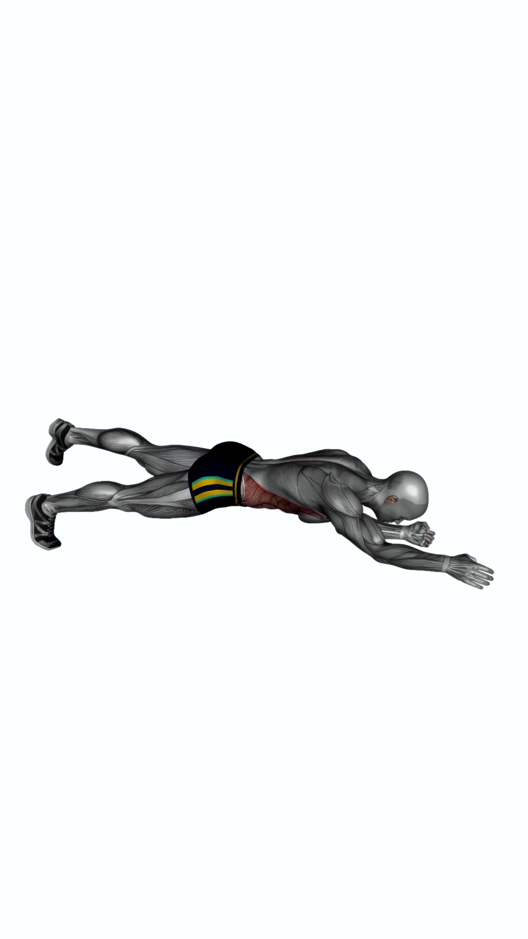 Alternate Arm Leg Plank Hold