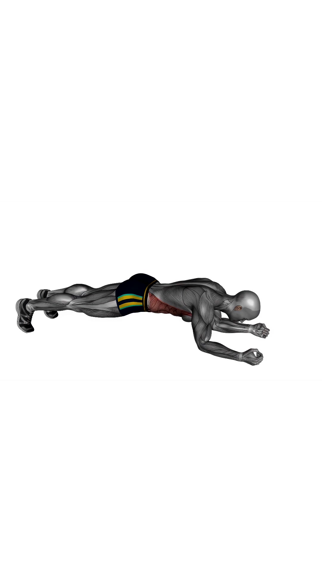 Alternate Arm Leg Plank Rest Pause