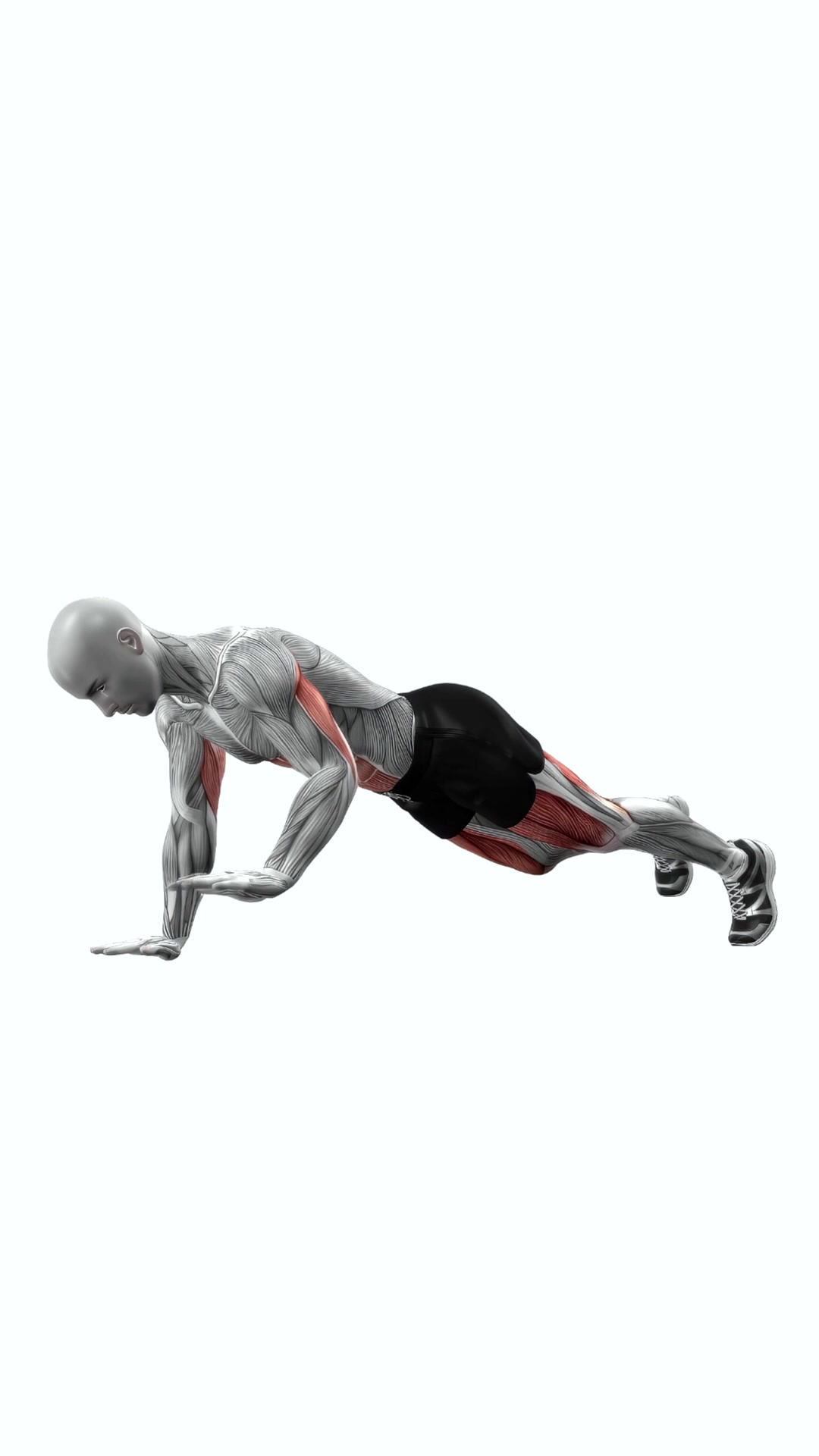 Alternate Arm Leg Plank
