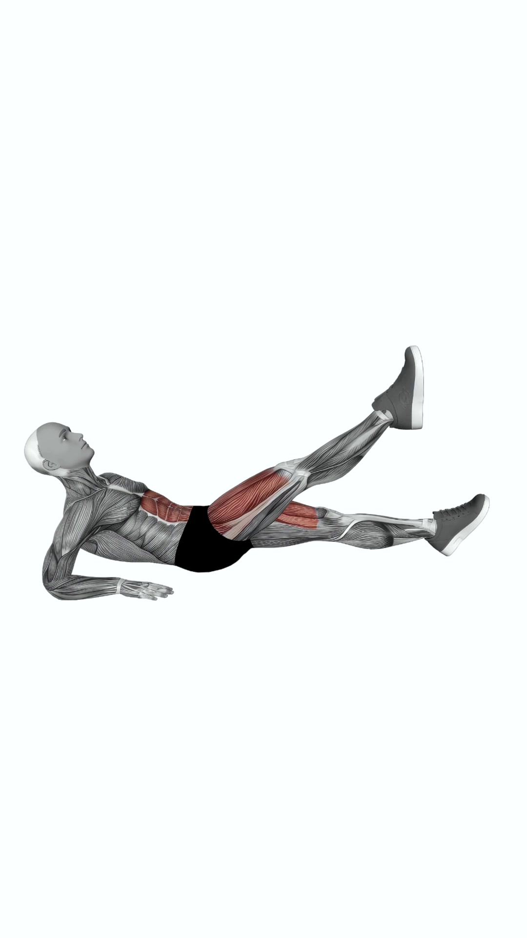Alternate Leg Raise From Reverse Plank Position