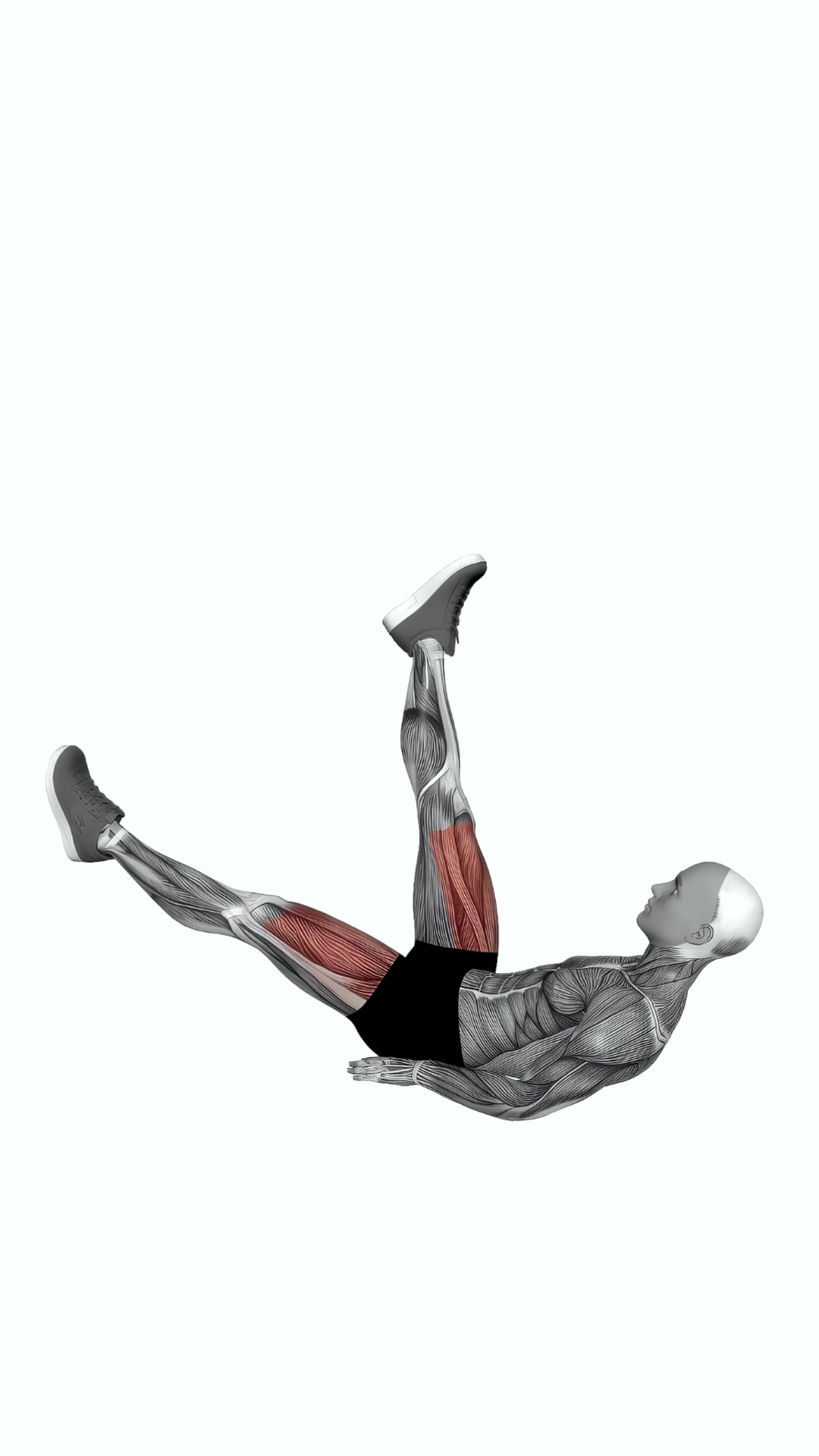 Alternate Leg Raise With Head Up