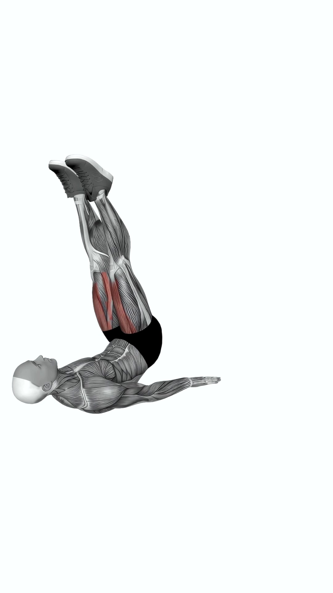 Alternate Lying Floor Leg Raise