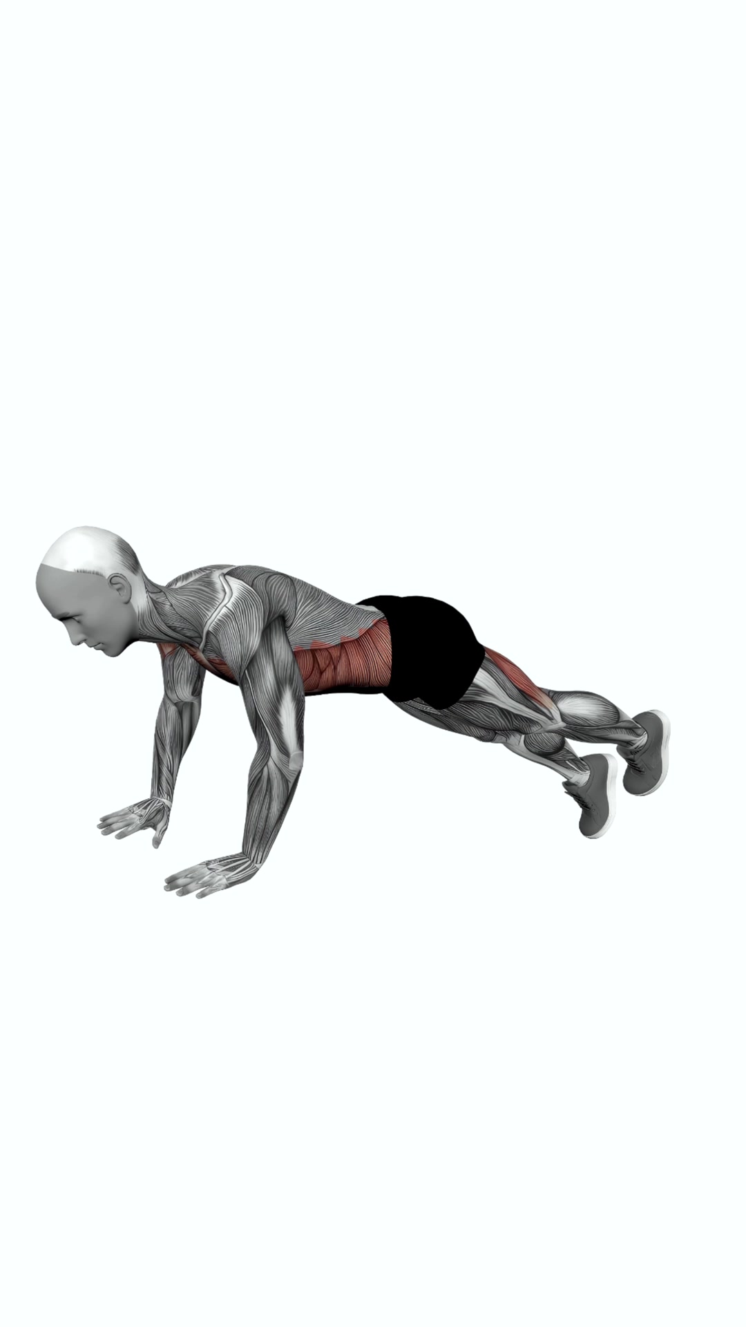 Alternate Single Leg Raises Plank