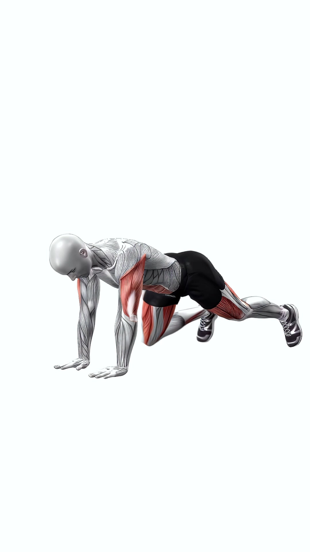 Alternating Plank Lunge