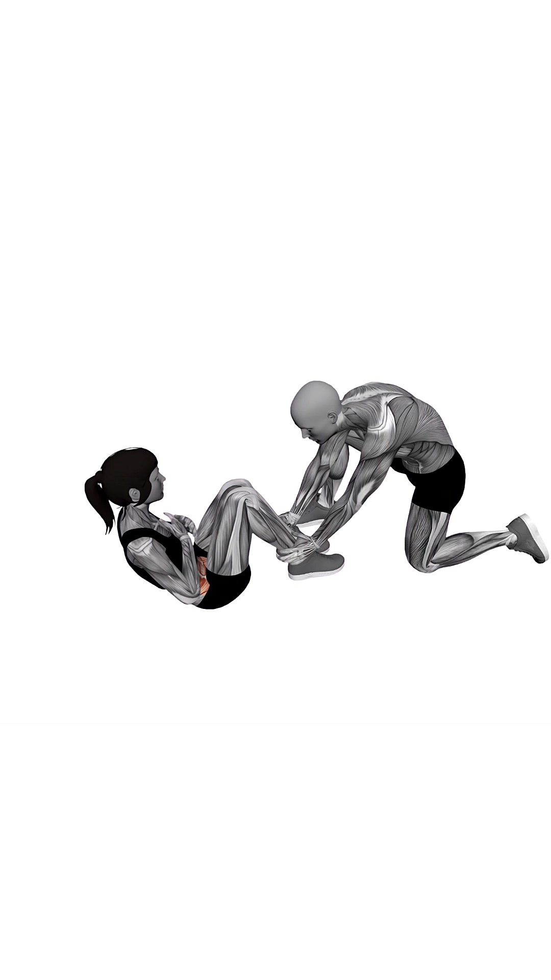 Assisted Sit-up
