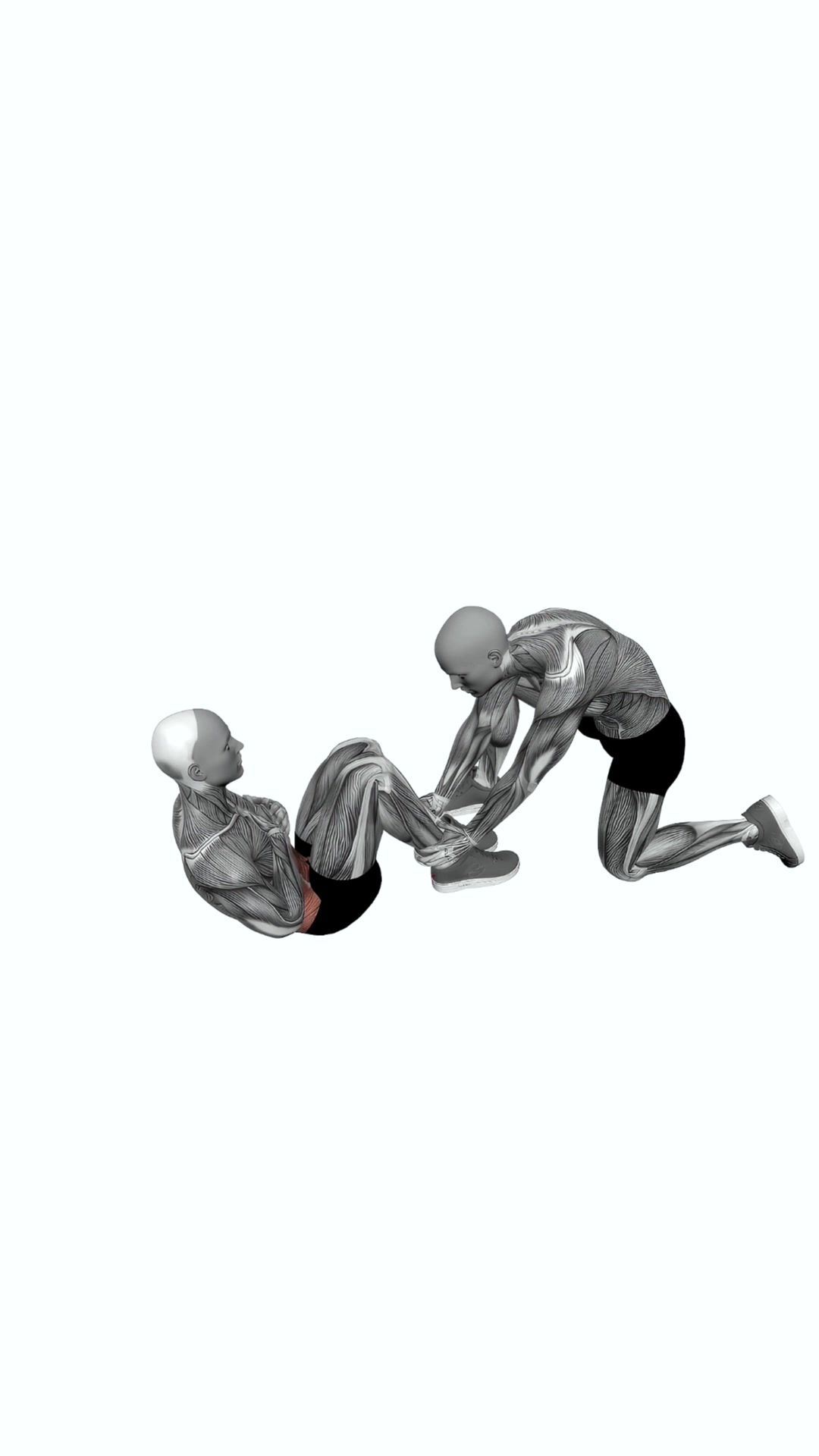 Assisted Sit Ups