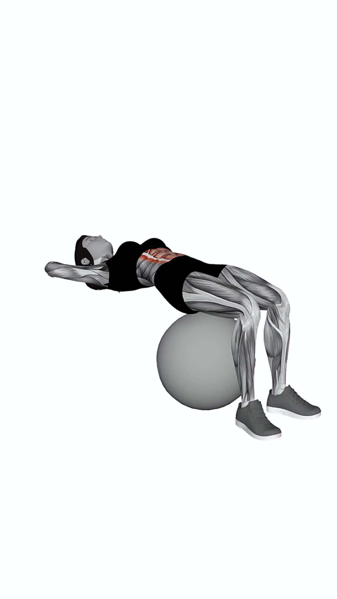 Ball Sit-up