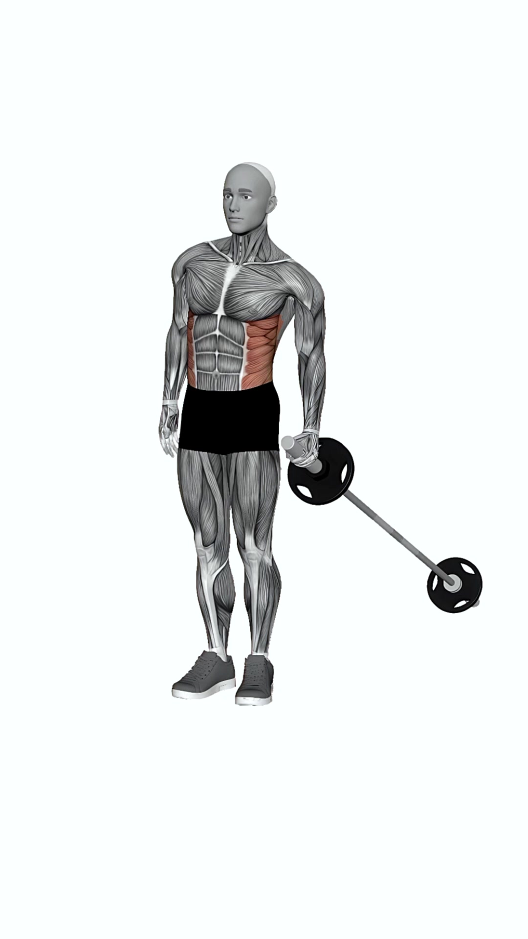 Barbell Landmine Side Bend