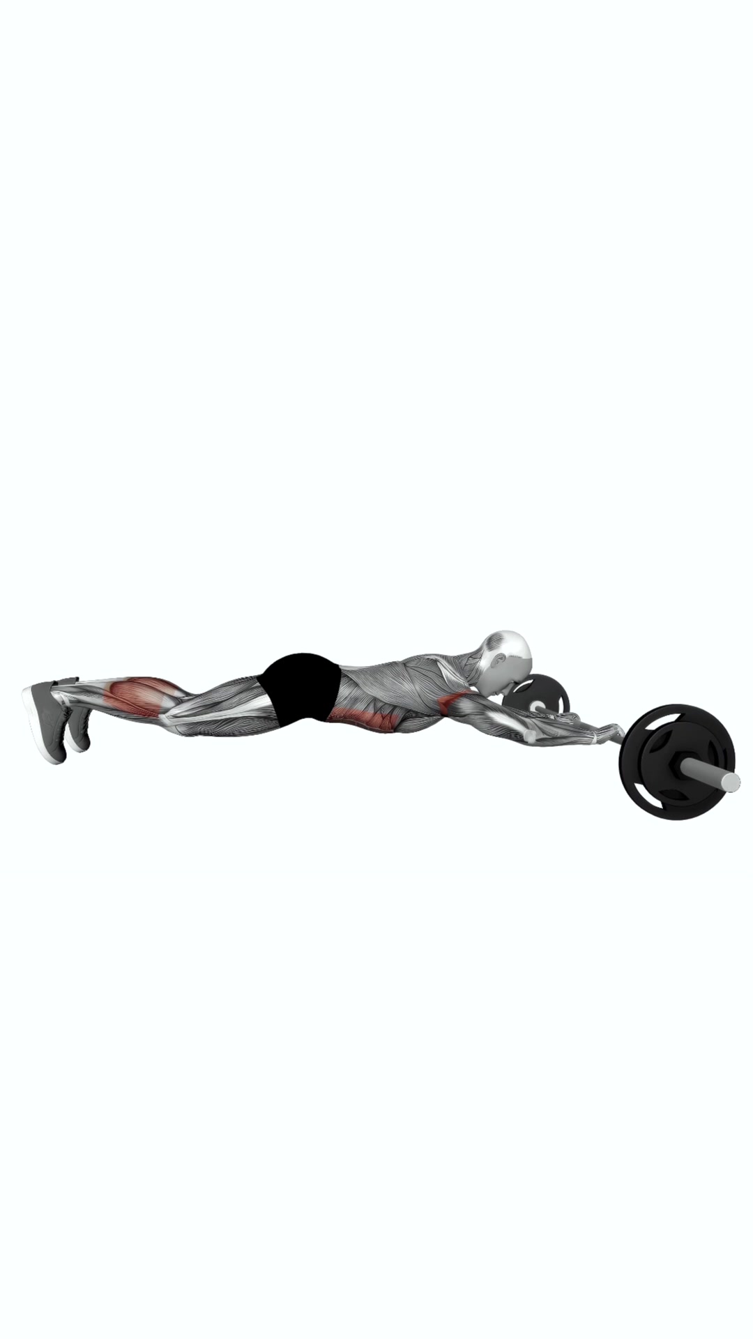 Barbell Rollout