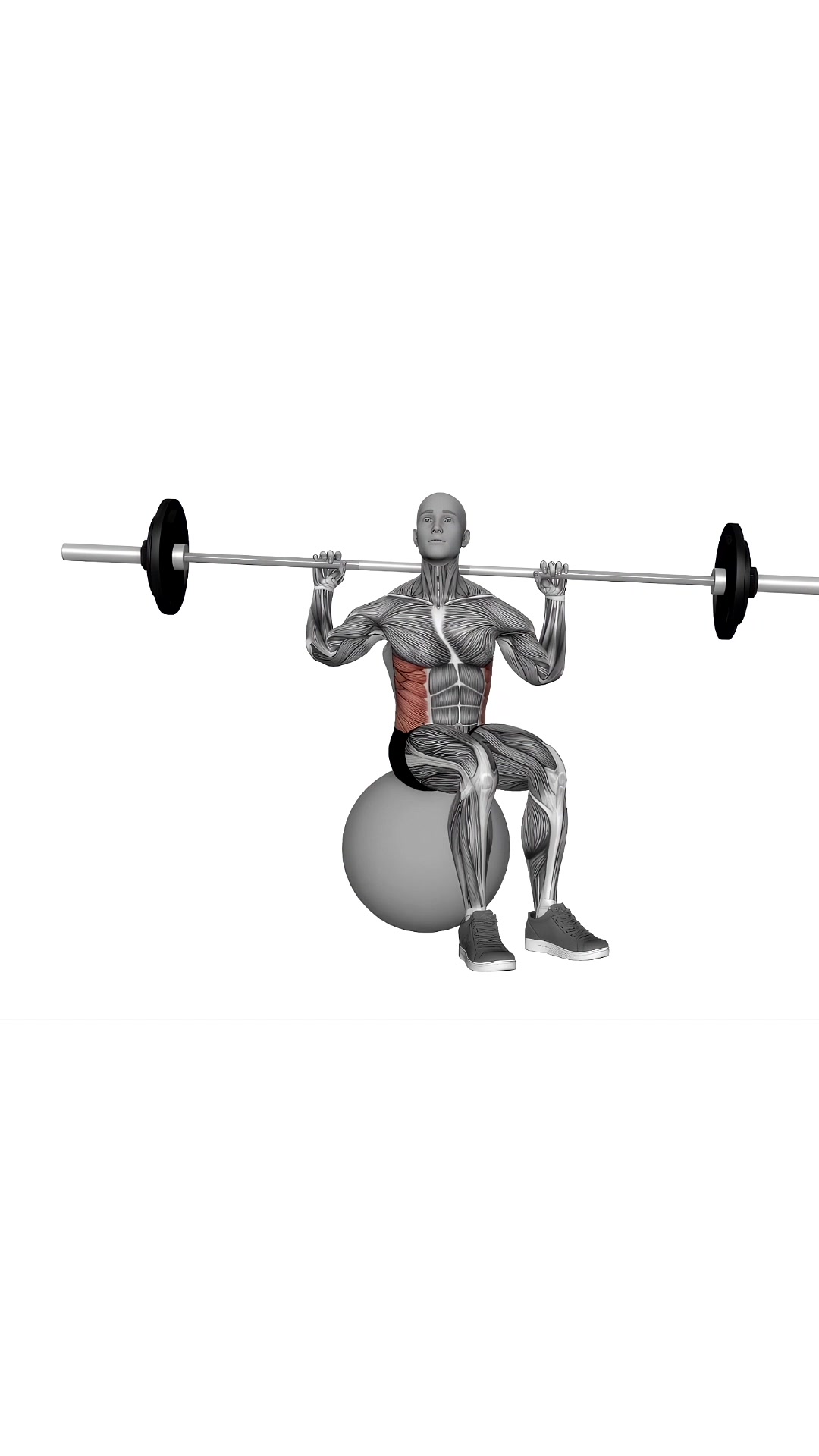 Barbell Seated Twist On Exercise Ball