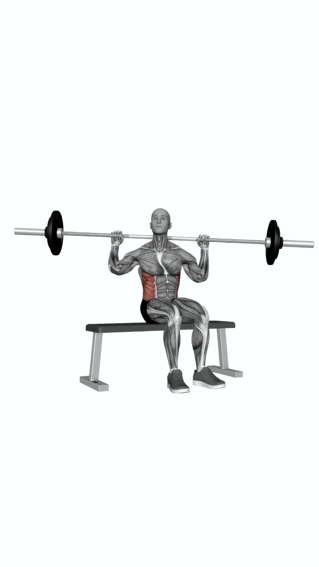 Barbell Seated Twist