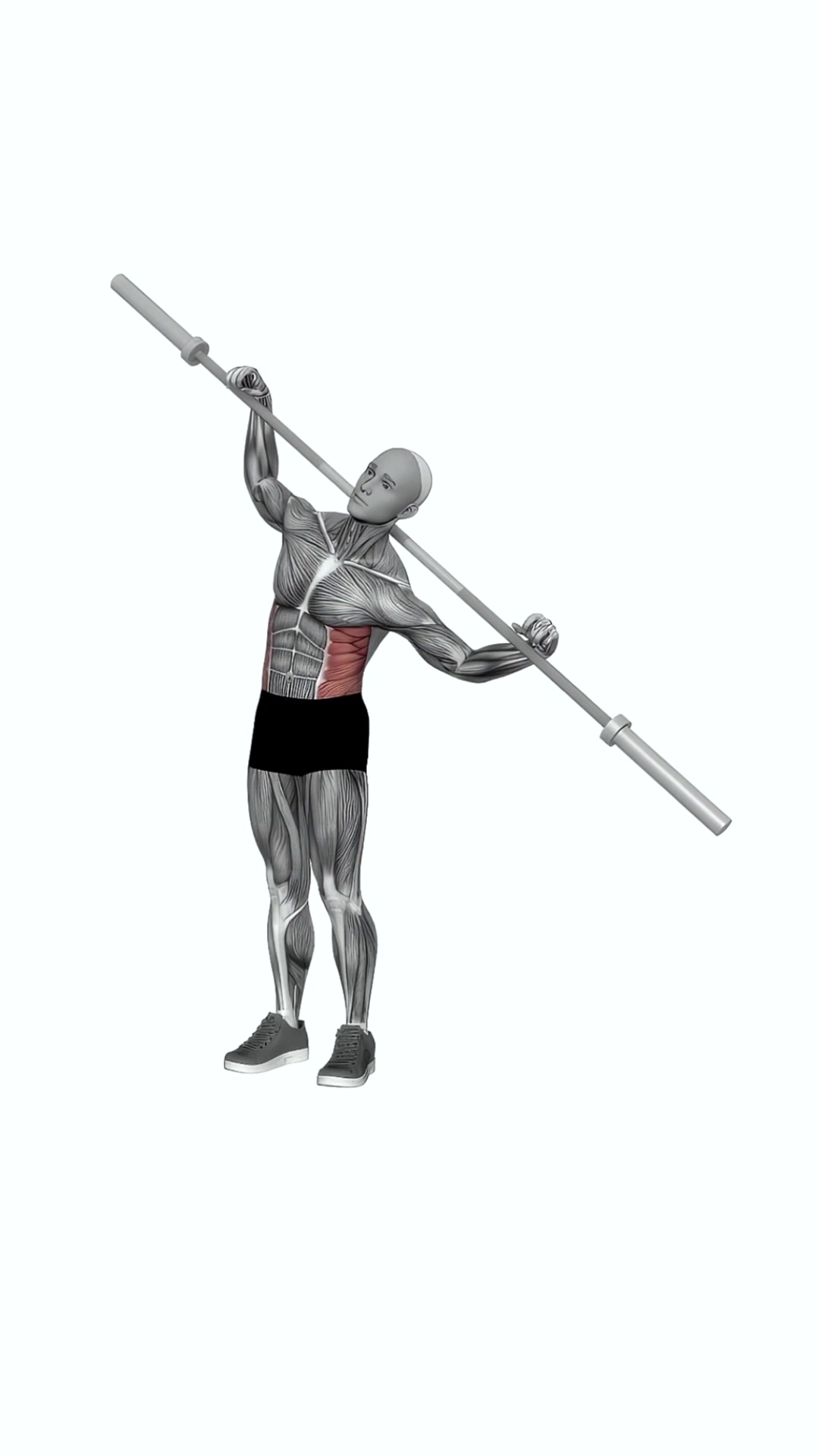Barbell Side Bends