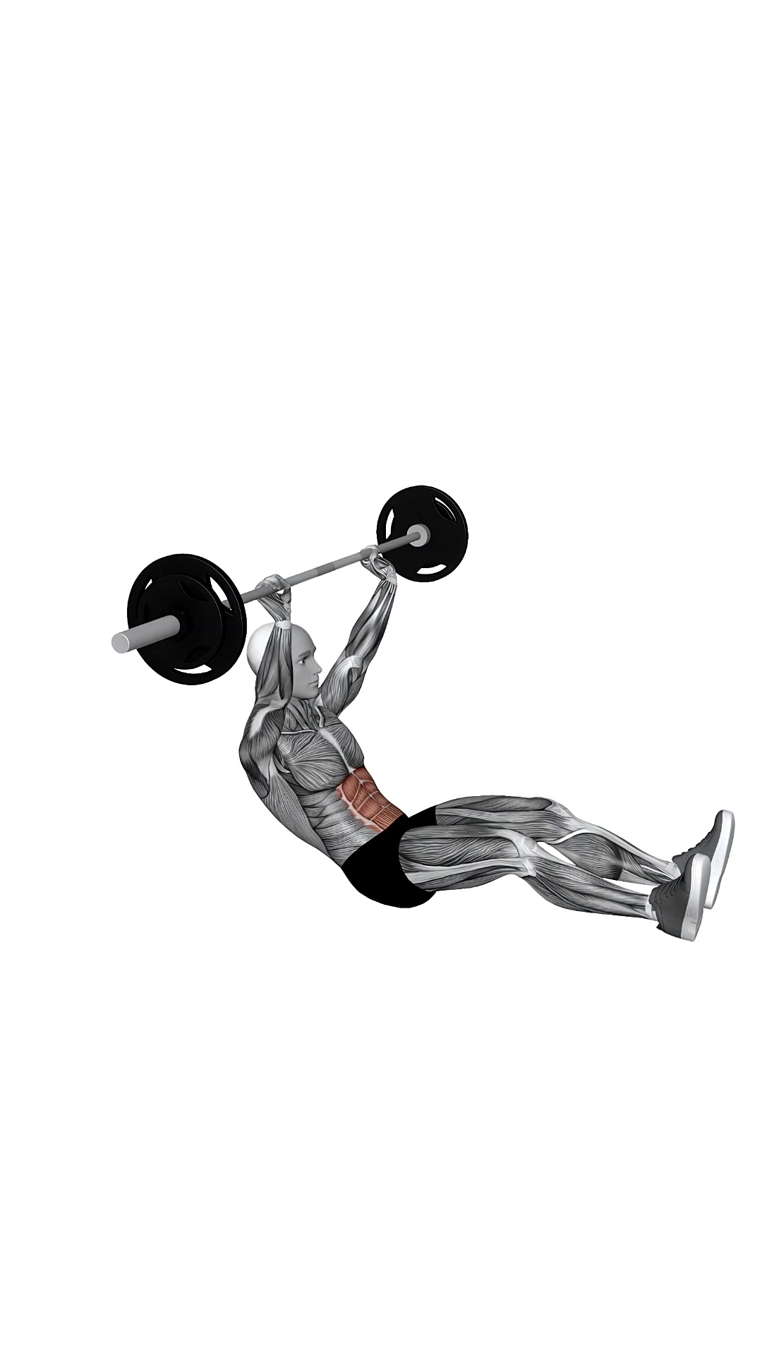 Barbell Situp