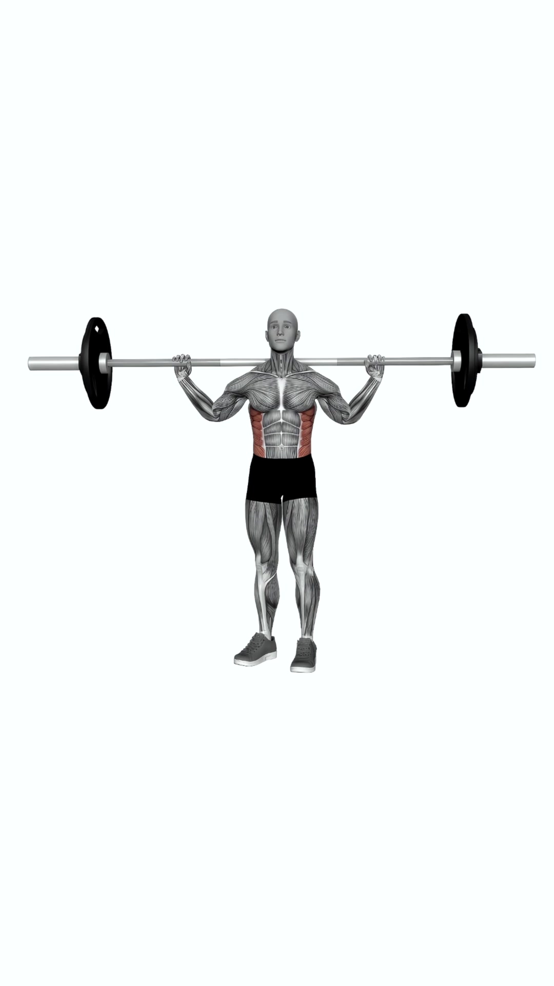 Barbell Standing Twist