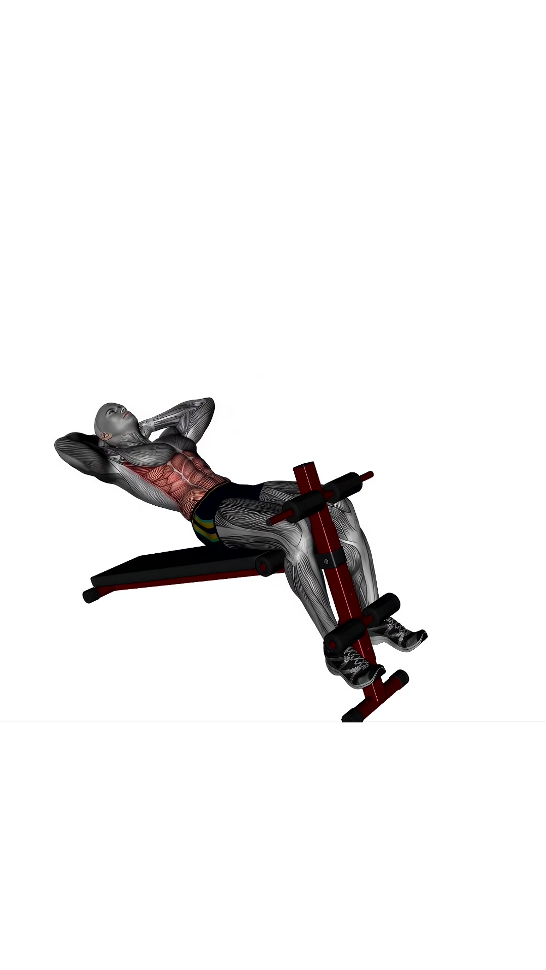 Bench Decline Ab Sit-ups