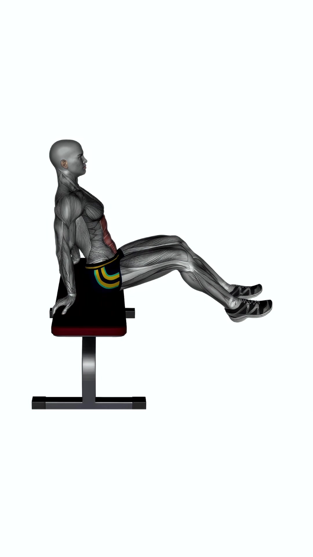 Bench Knee Tucks