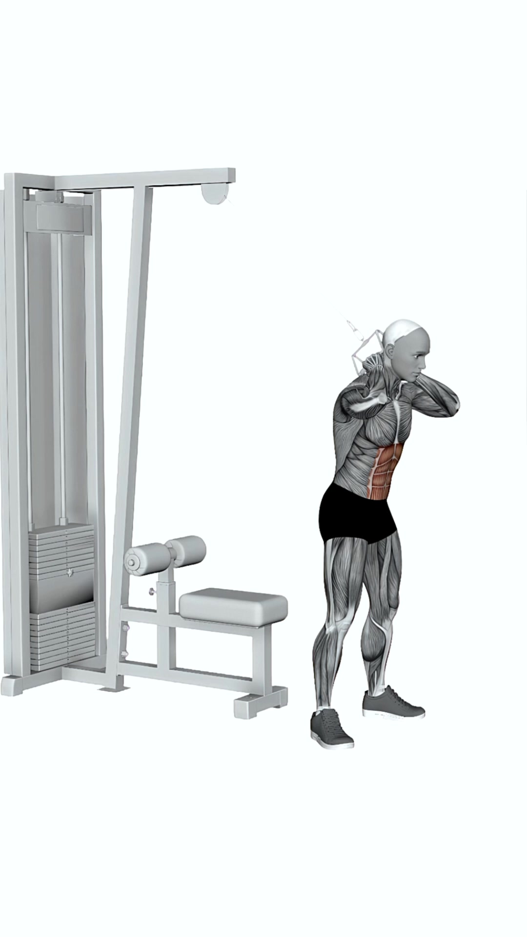 Cable Standing Crunch