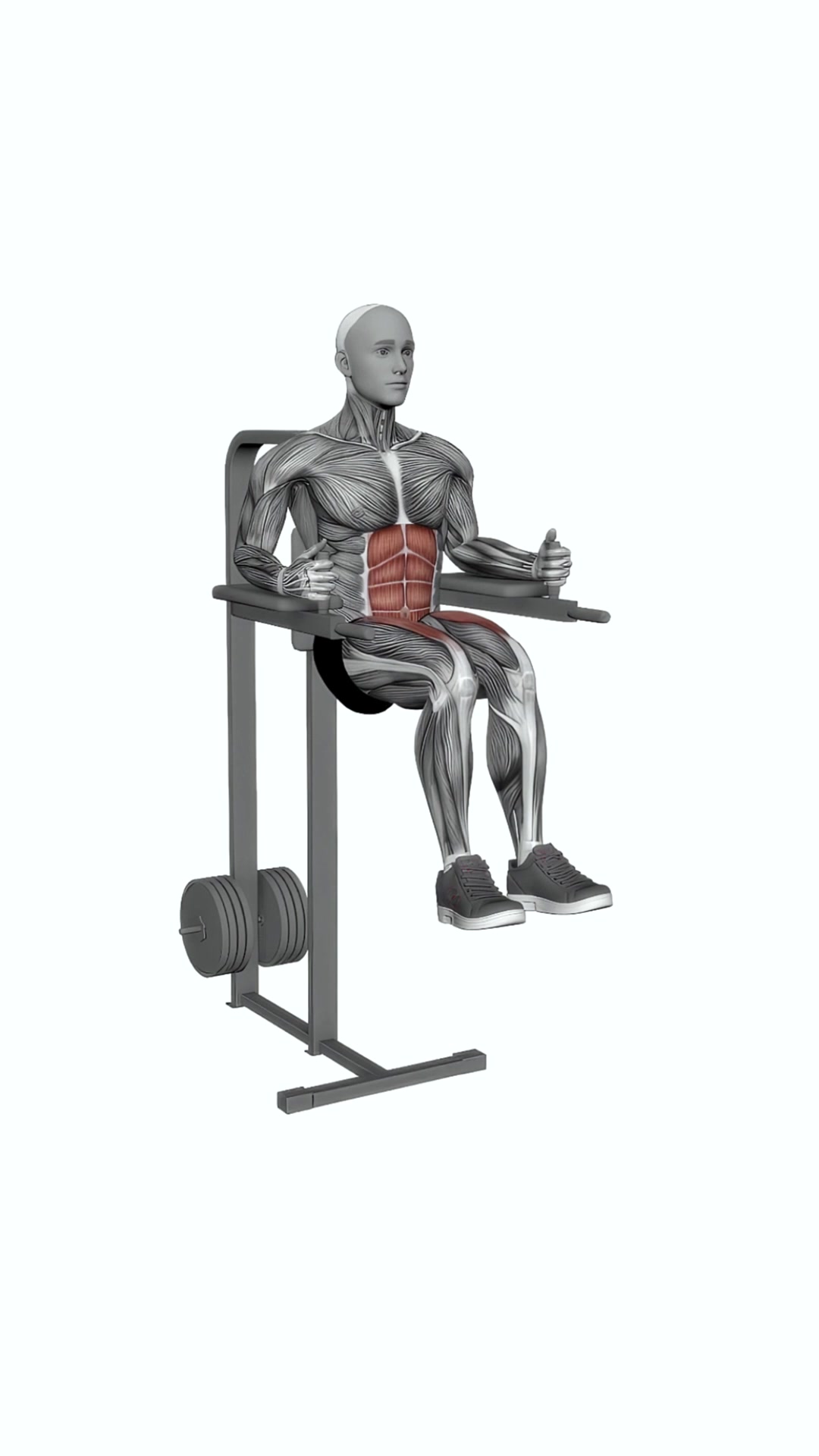 Captains Chair Leg Raise