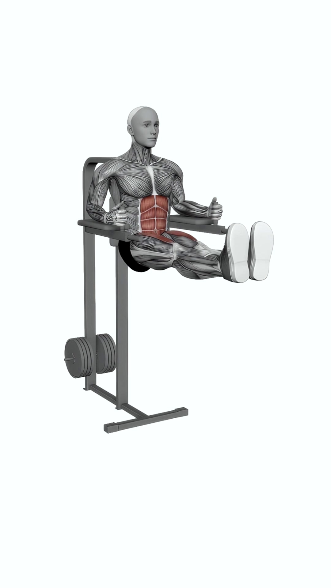 Captains Chair Straight Leg Raise