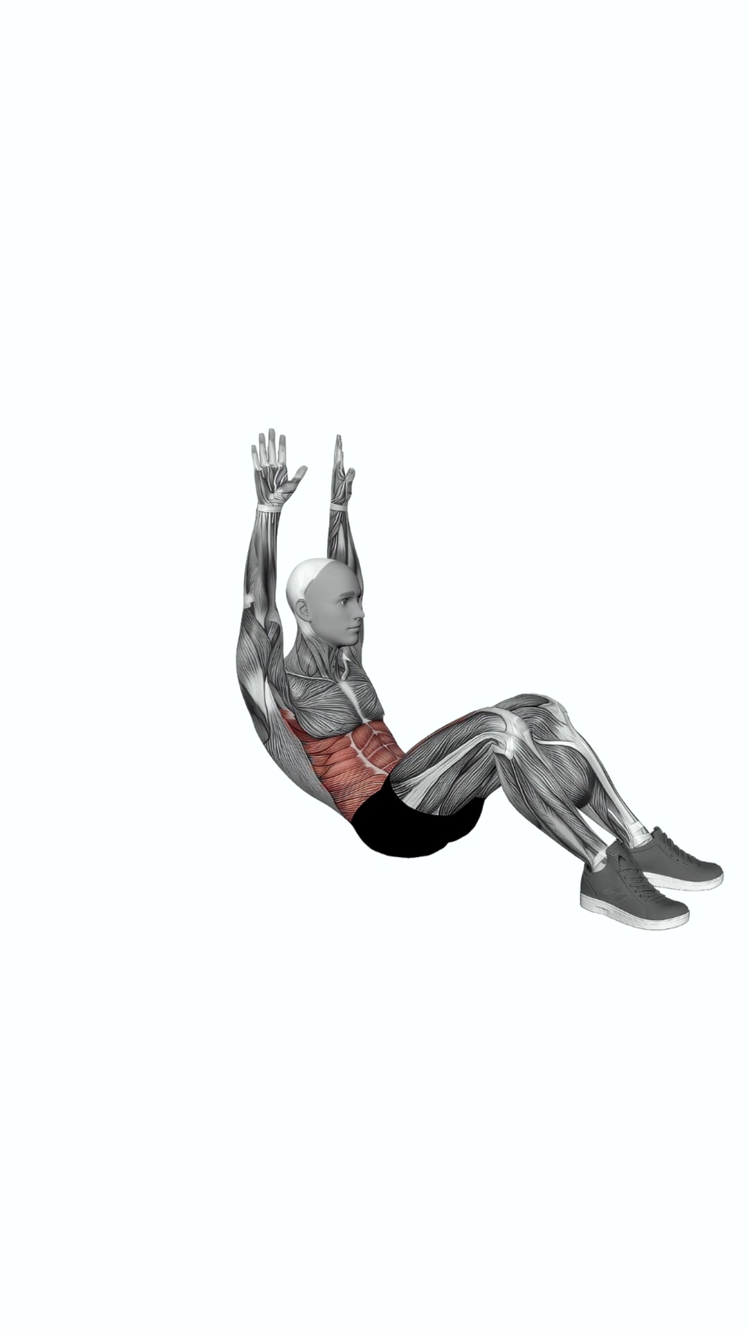 Crunch (arms Straight)