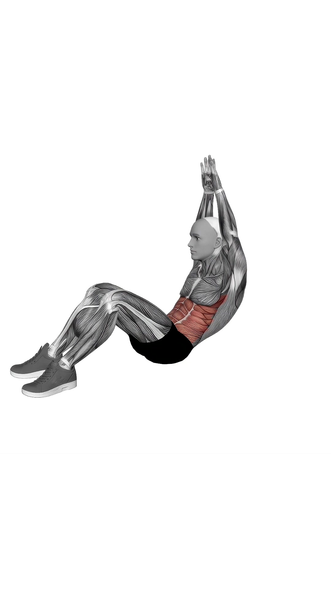 Crunch (hands Overhead)