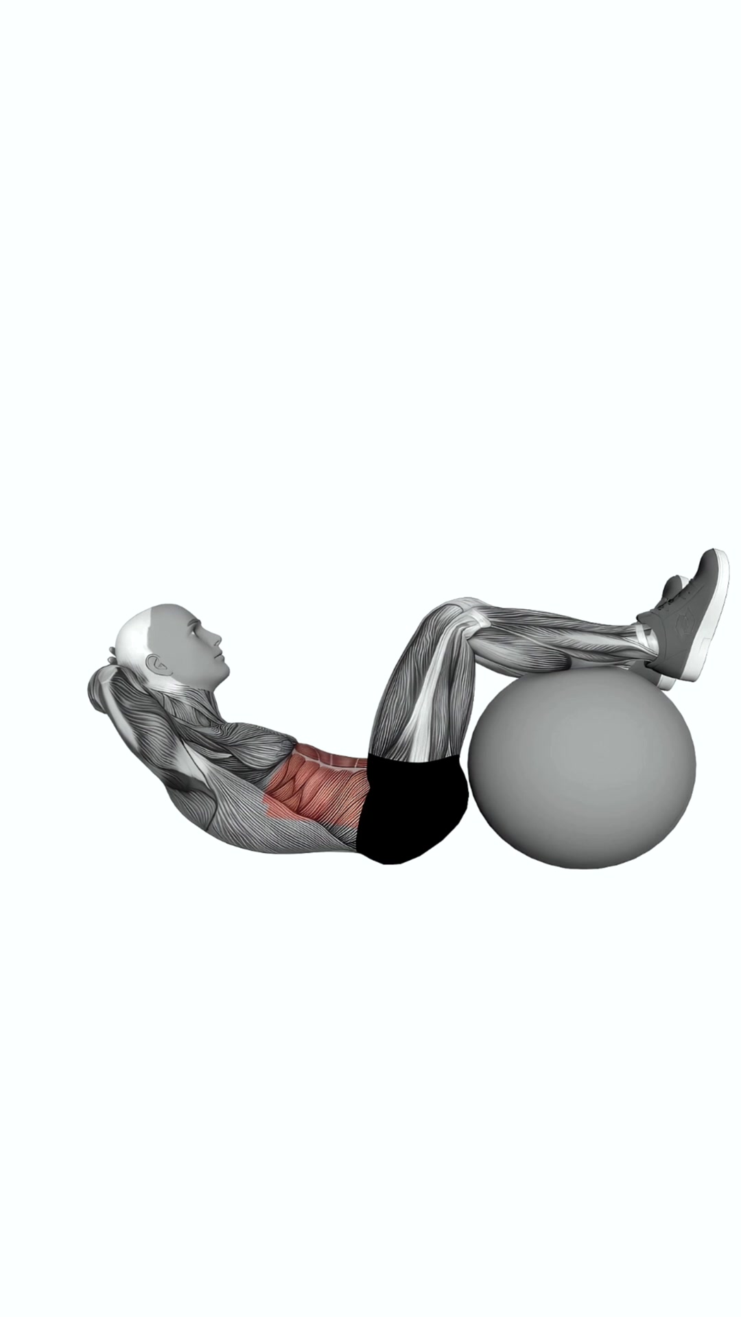 Crunch (legs On Stability Ball)