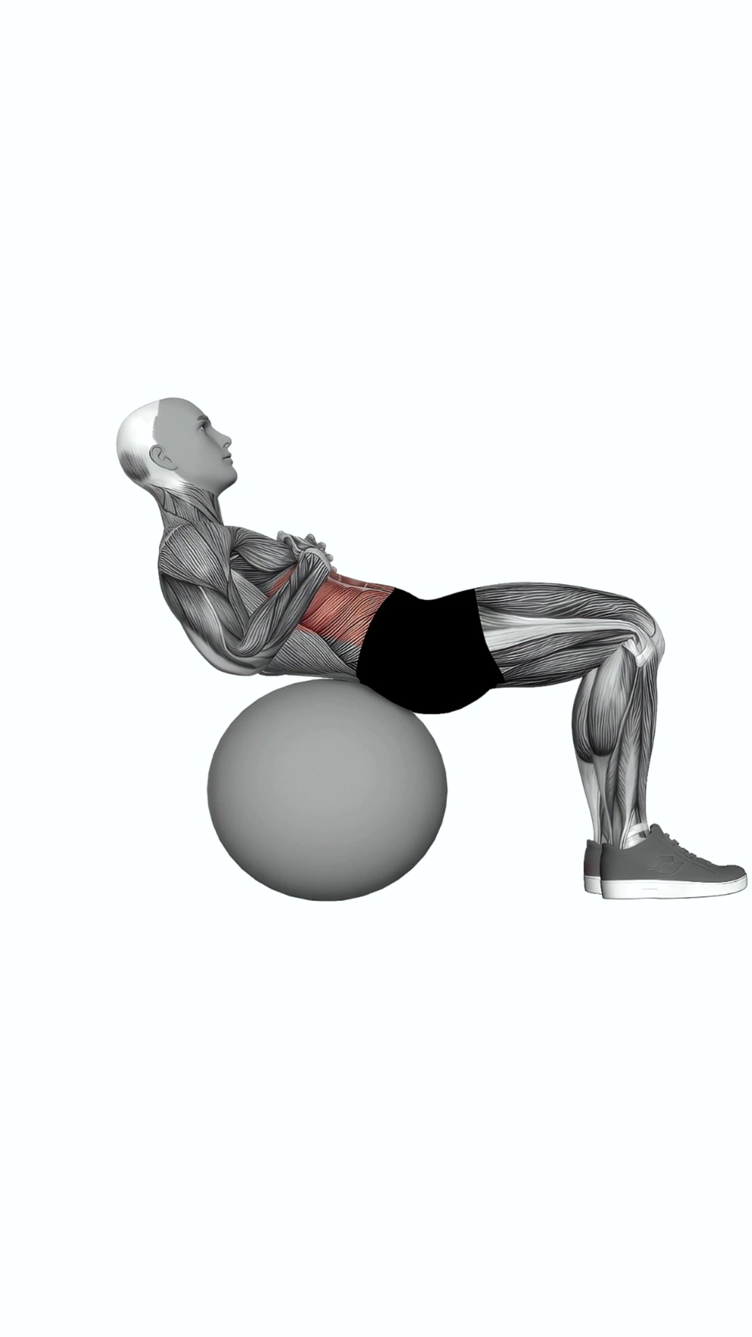 Crunch (on Stability Ball)
