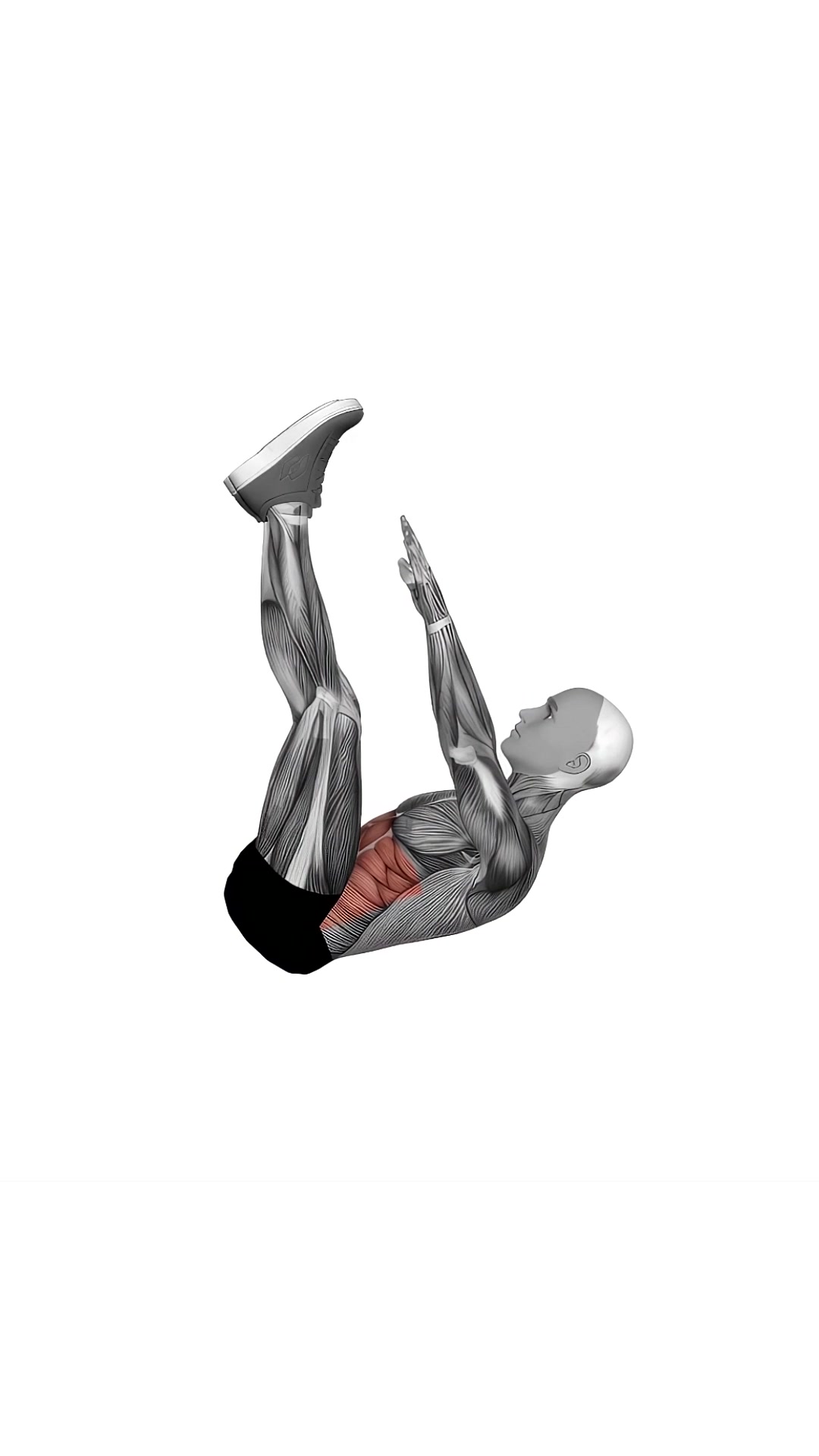 Crunch (straight Leg Up)