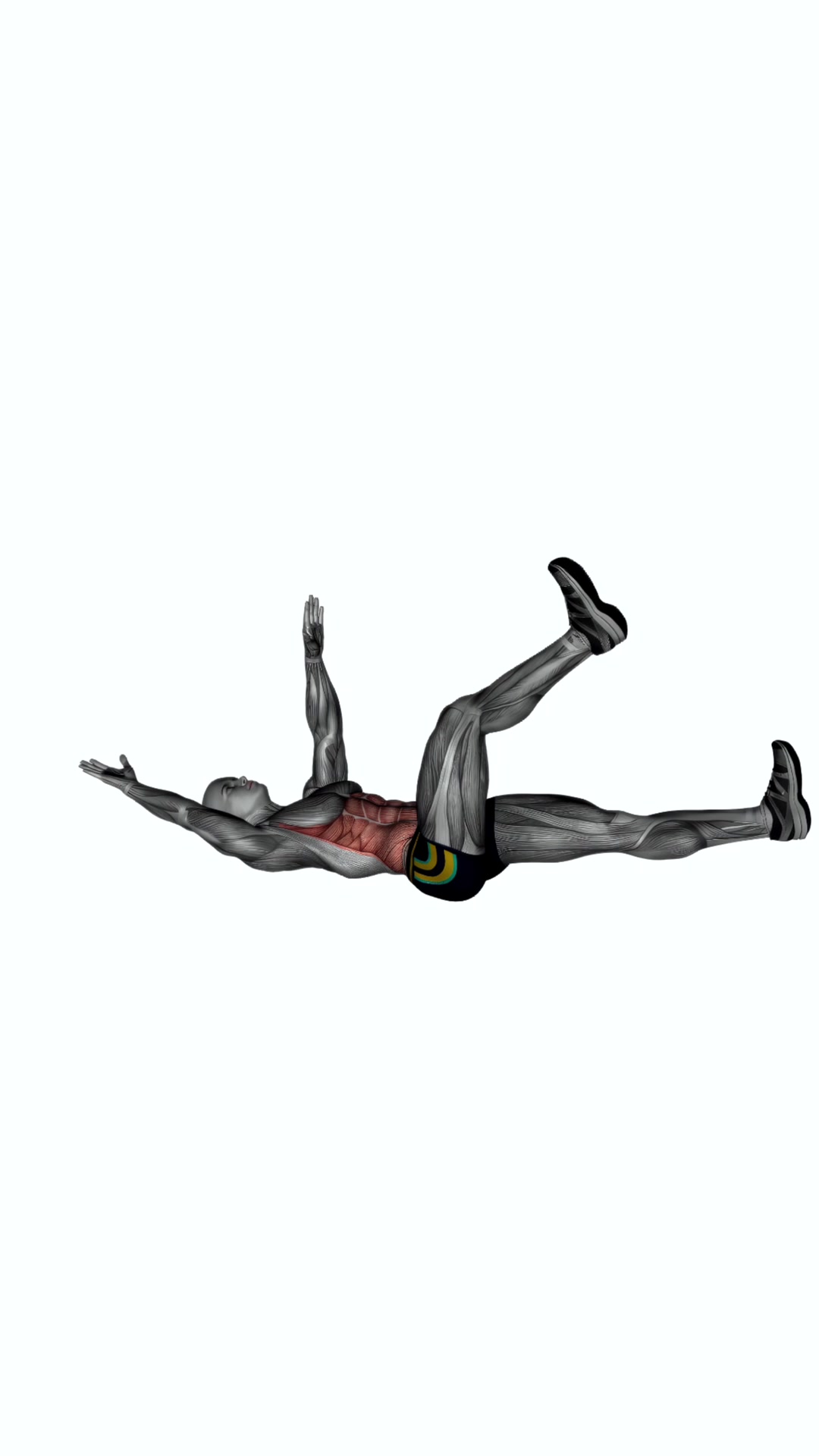 Dead Bug