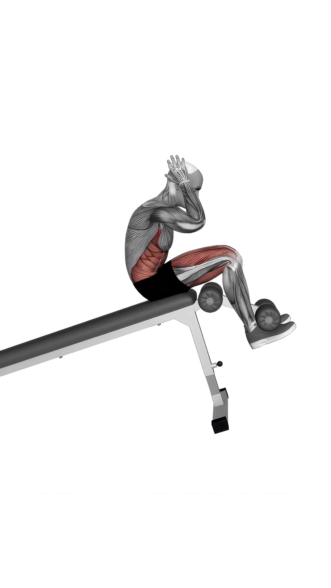 Decline Bench Full Sit Up