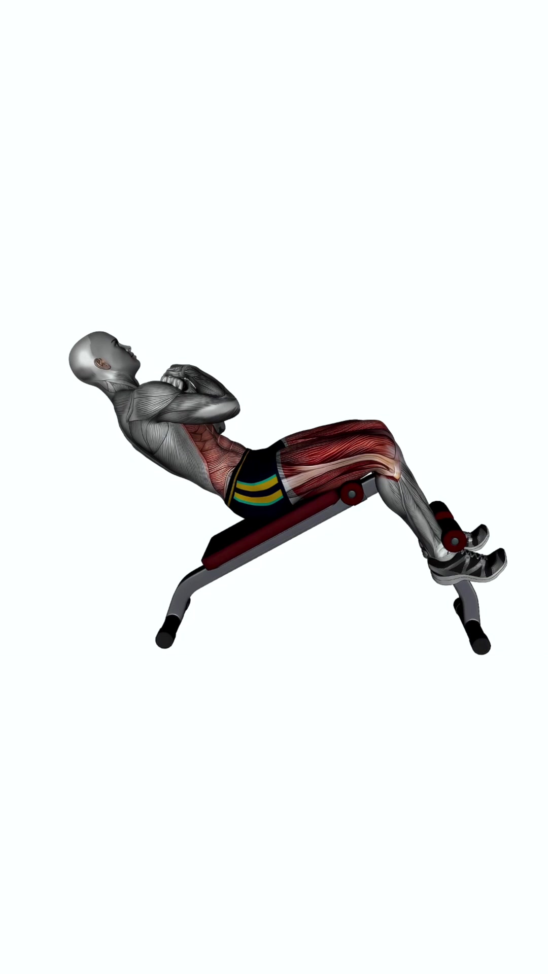 Decline Bench Oblique Crunches Bodyweight