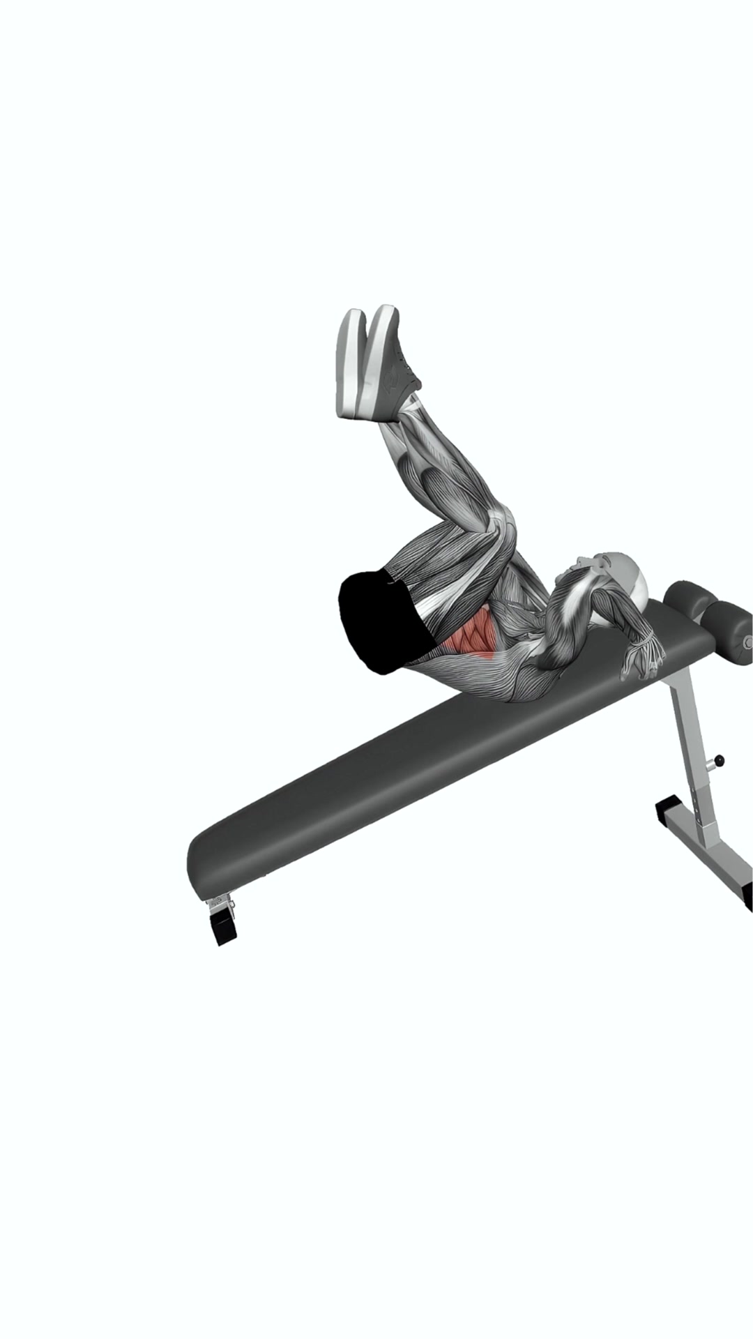 Decline Bent Leg Reverse Crunch
