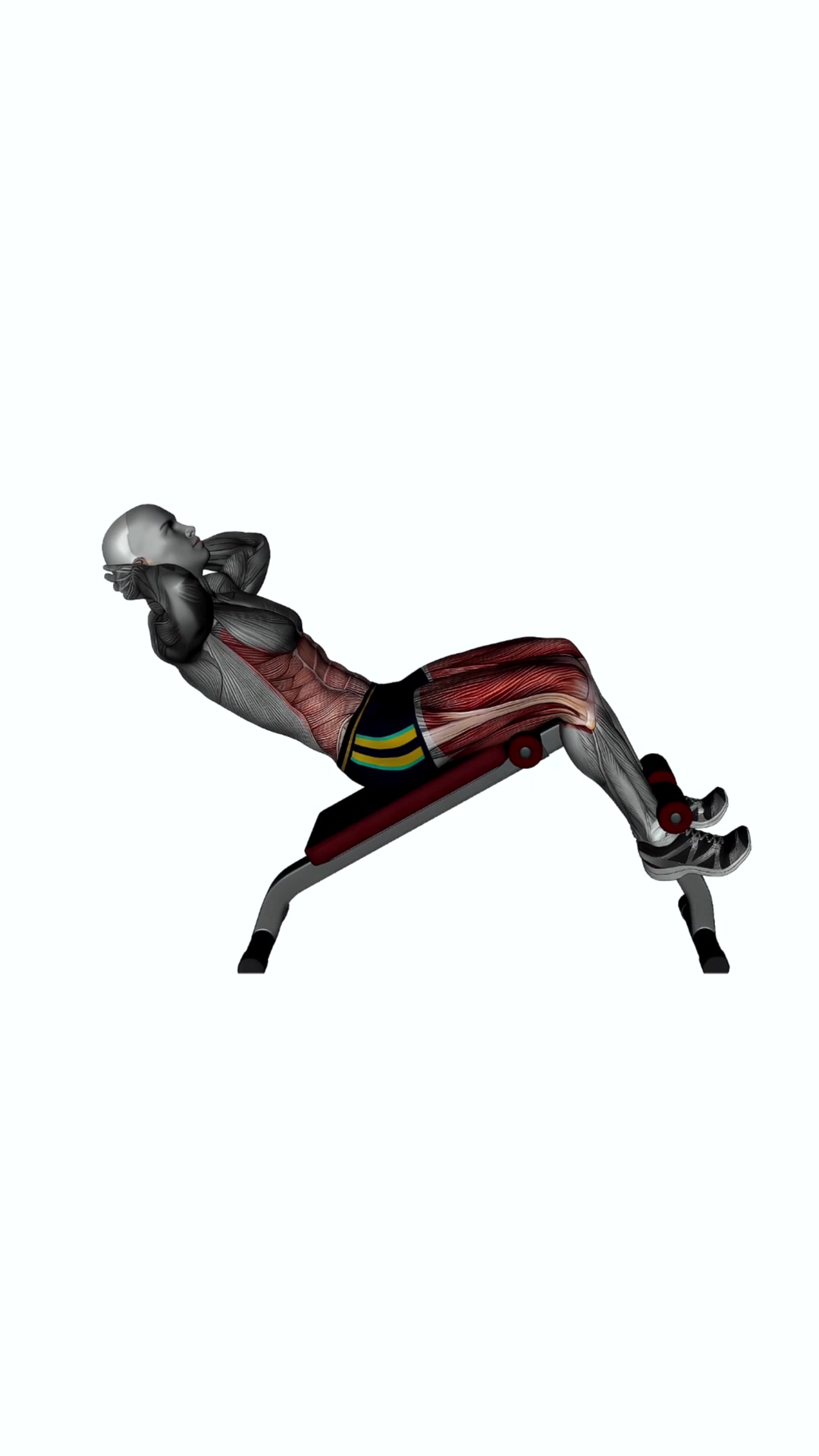 Decline Levitating Sit Ups Bodyweight