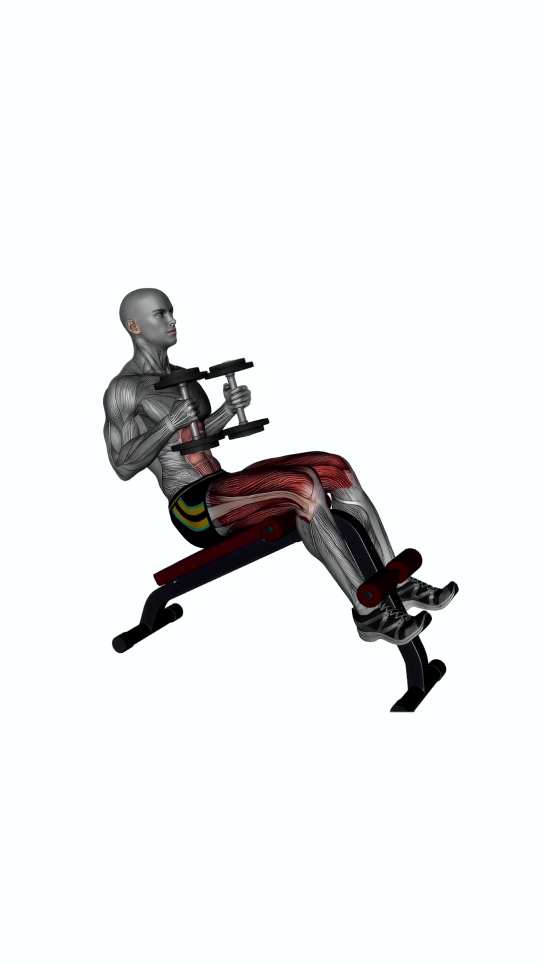 Decline Sit Ups Dumbbells