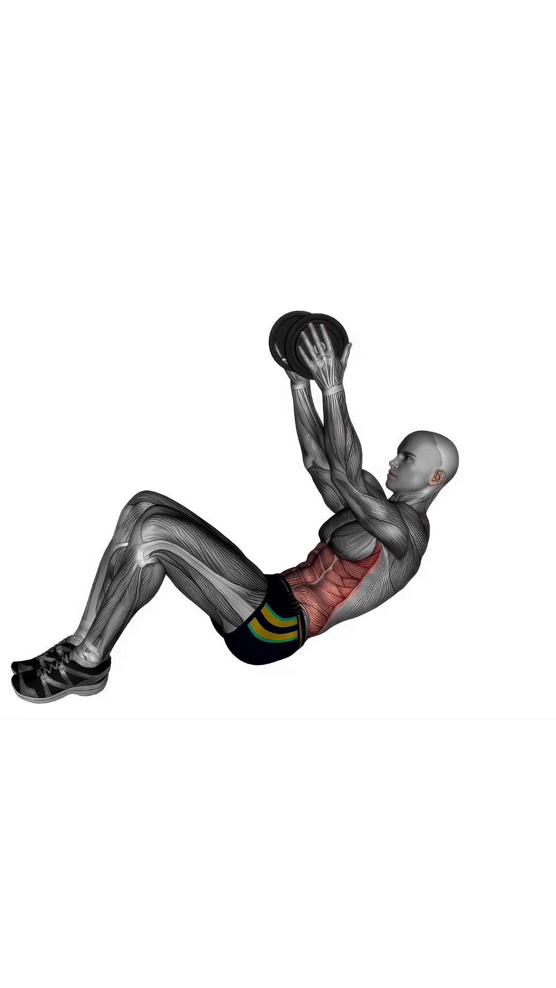 Dumbbell Ab Crunch