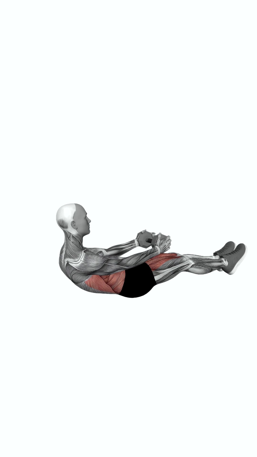 Dumbbell Crunch Hold With Legs Off