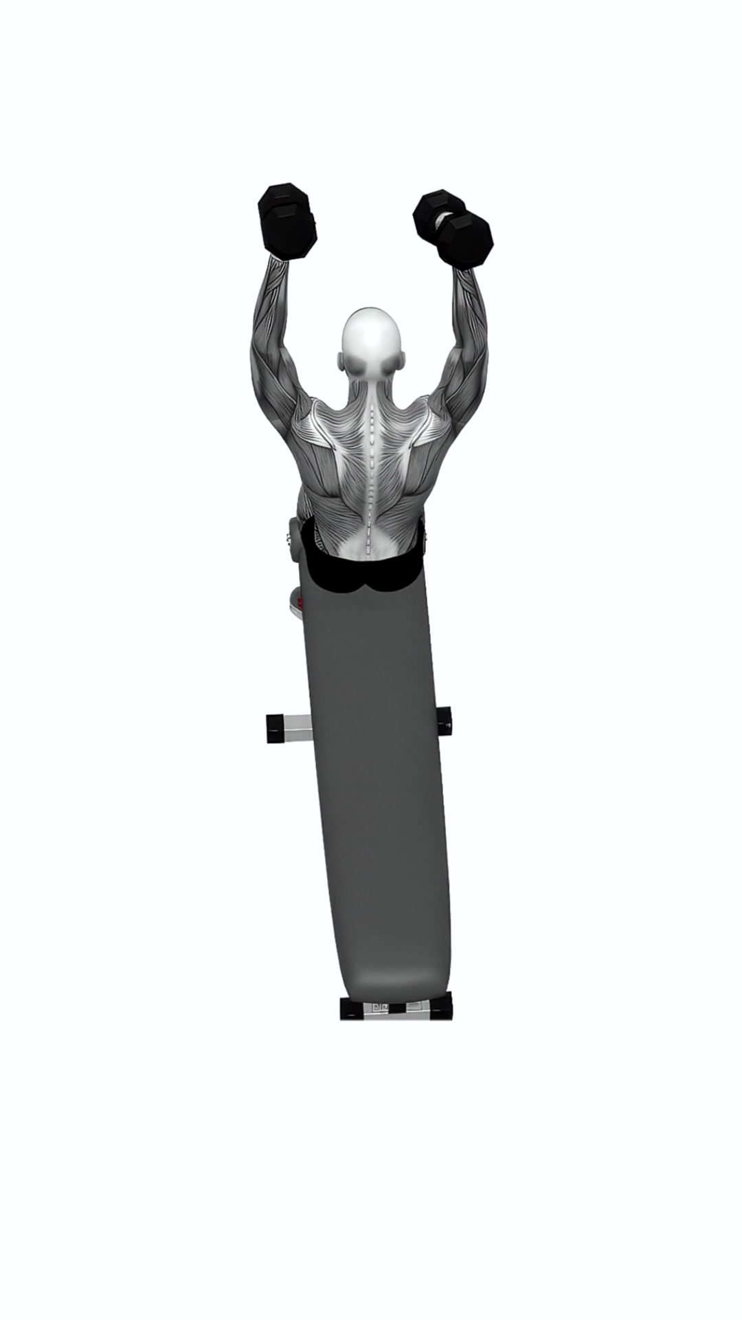 Dumbbell Decline Overhead Sit-up