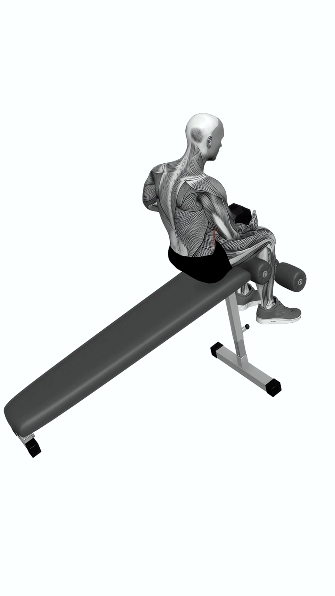 Dumbbell Decline Sit-up