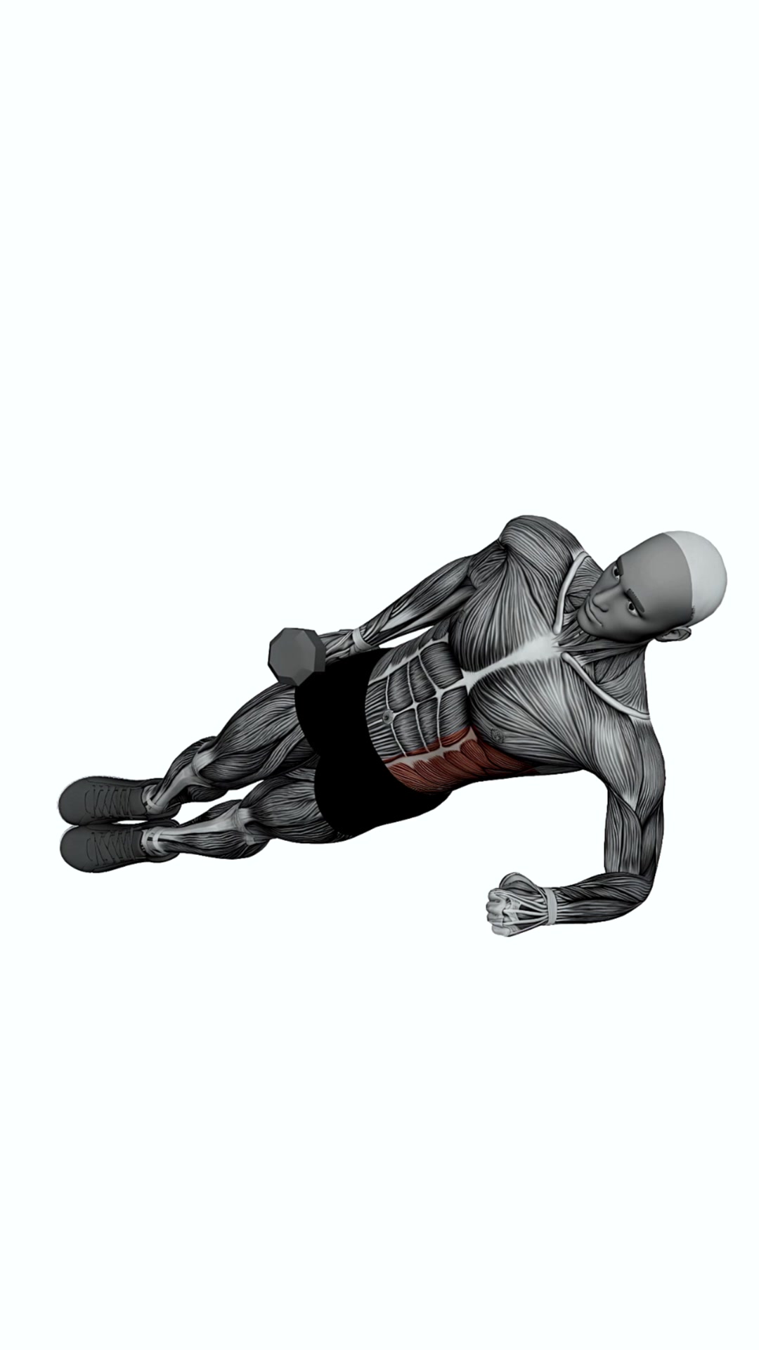 Dumbbell Elbow Side Plank