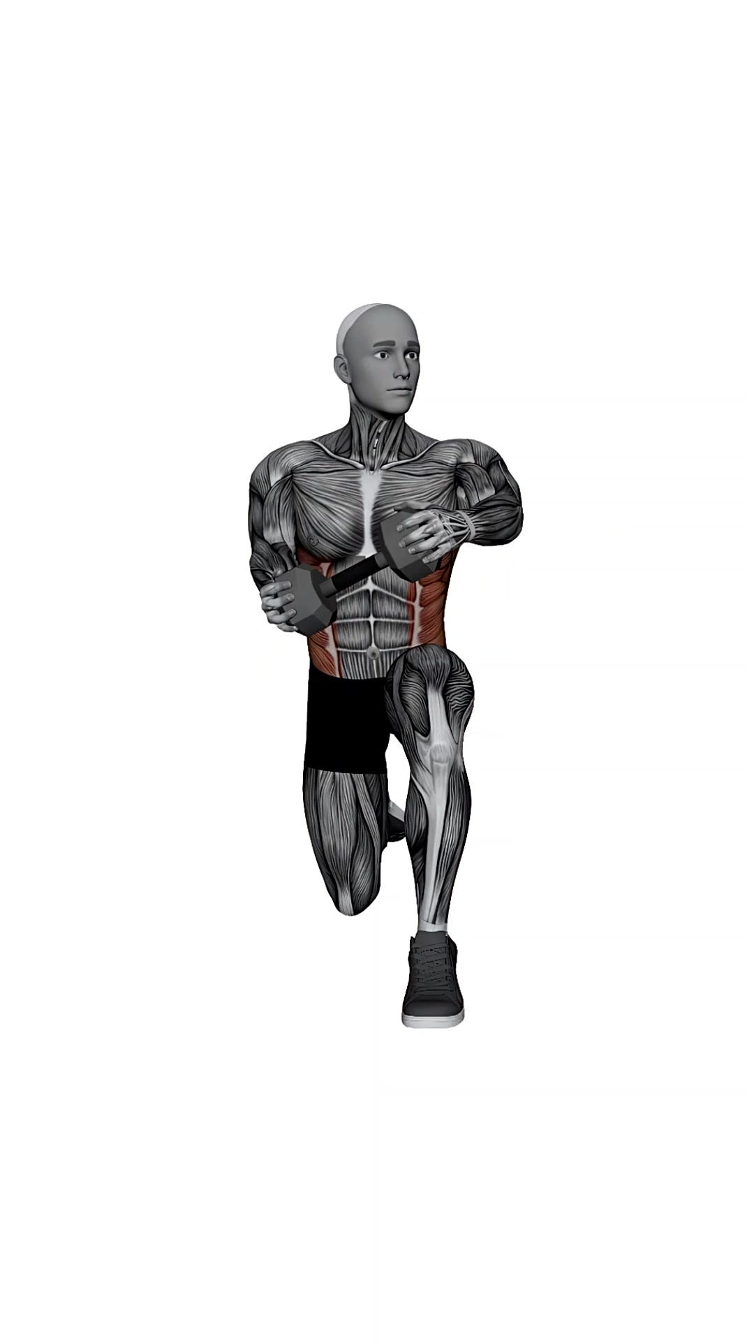 Dumbbell Half Kneeling Wood Chopper